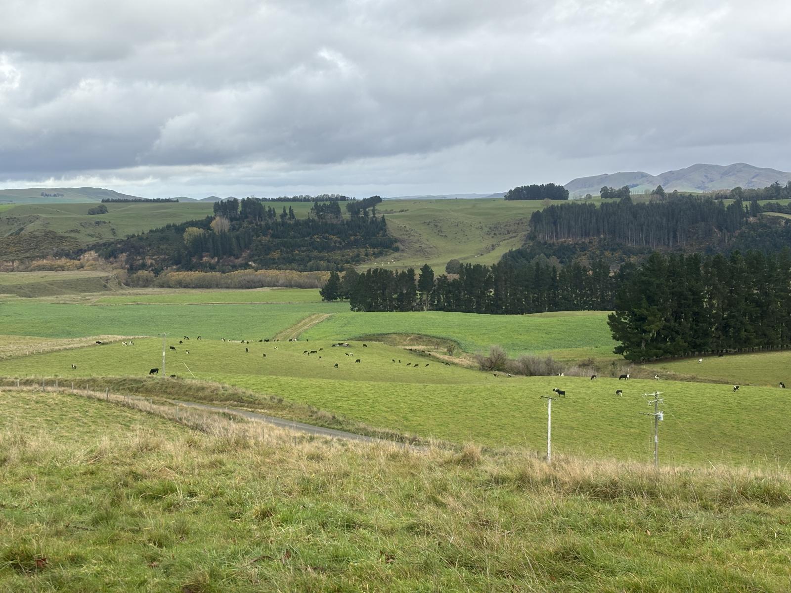 158 Kowhatu Road, Waimate