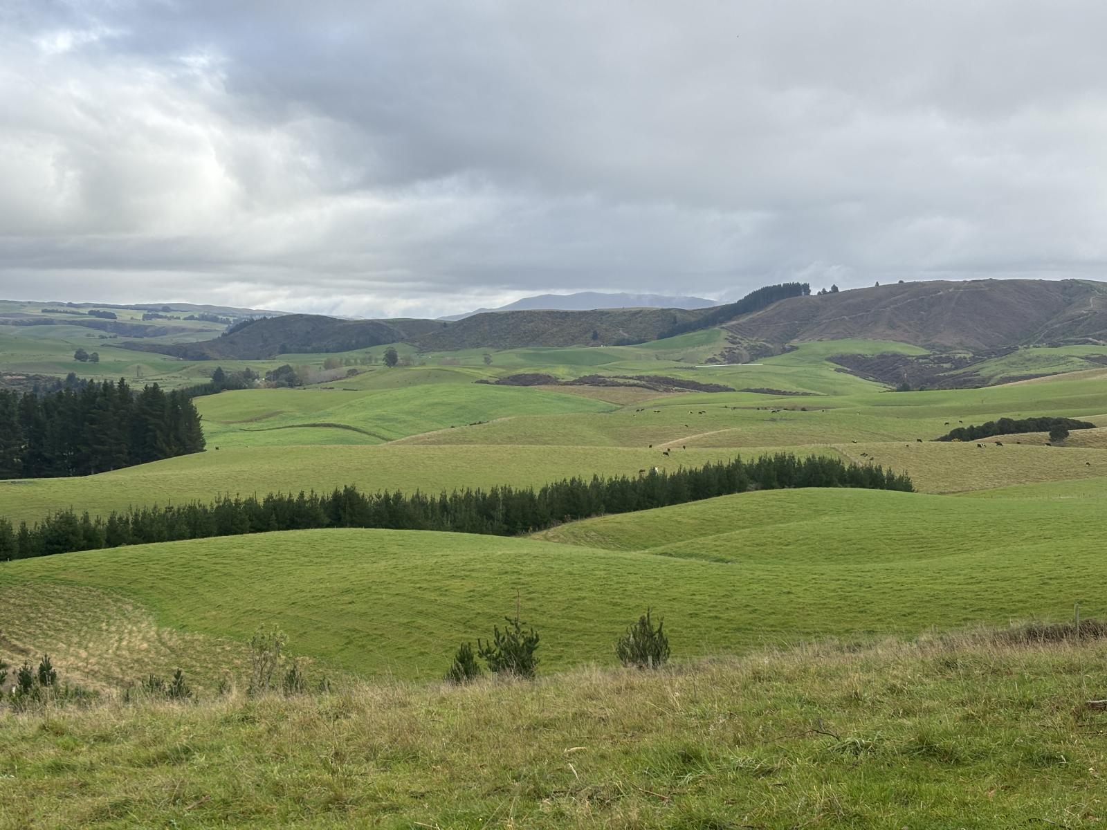 158 Kowhatu Road, Waimate