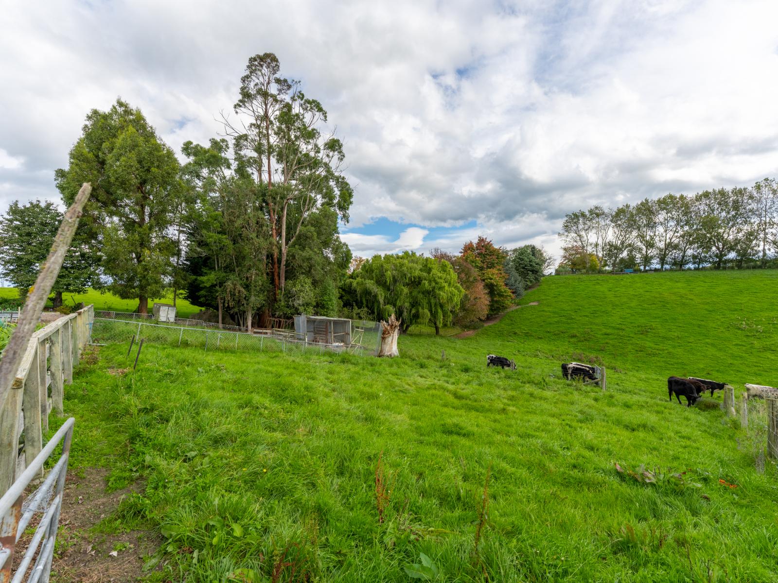 9 Hillview Place, Pleasant Point