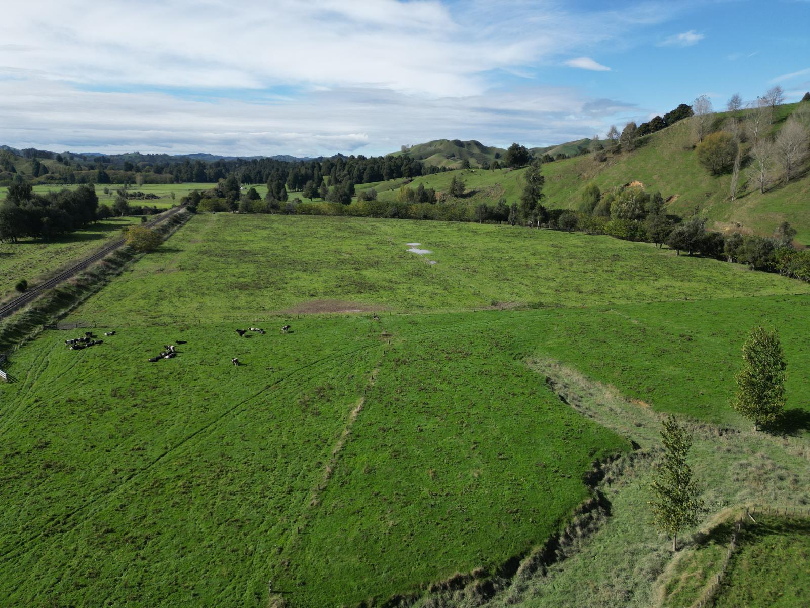 158 Ohura North Road, Ohura