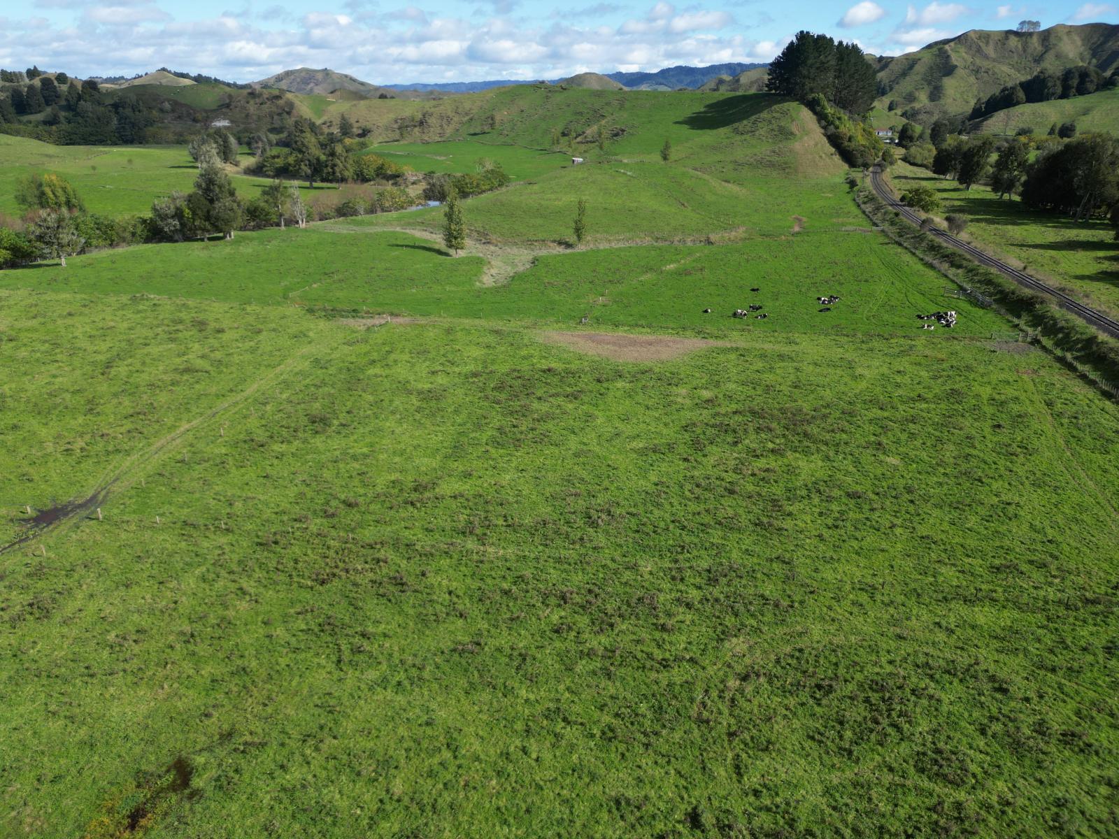 158 Ohura North Road, Ohura