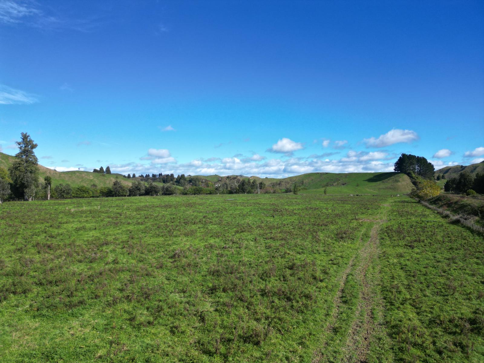 158 Ohura North Road, Ohura