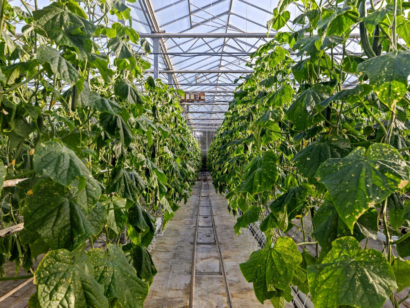 31 Madeleys Road, Clarkville