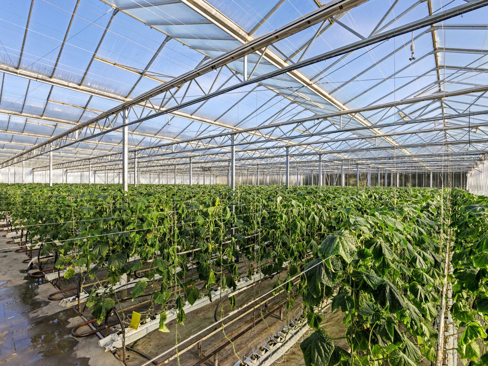 31 Madeleys Road, Clarkville