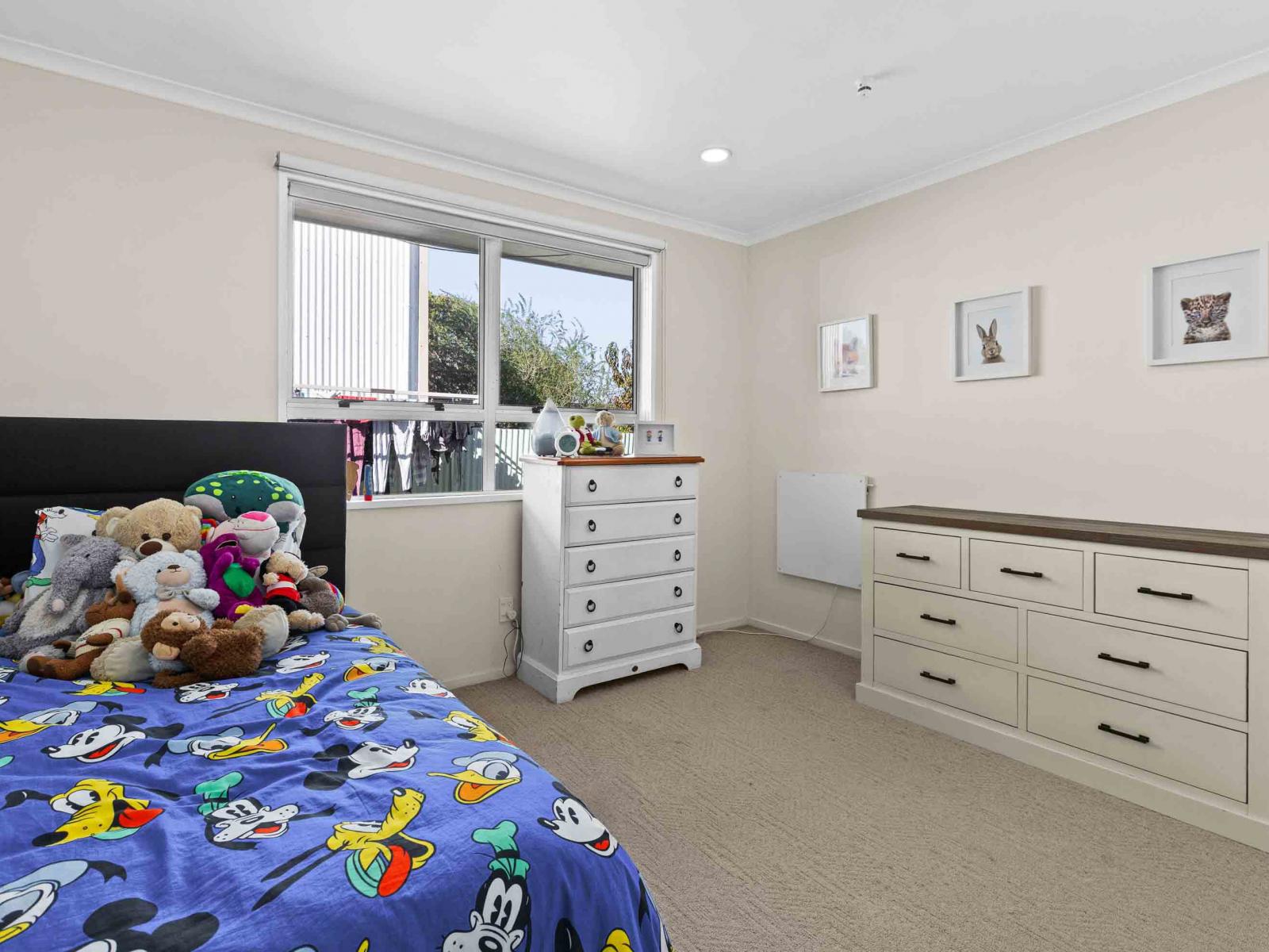 30 Chester Street, Taradale