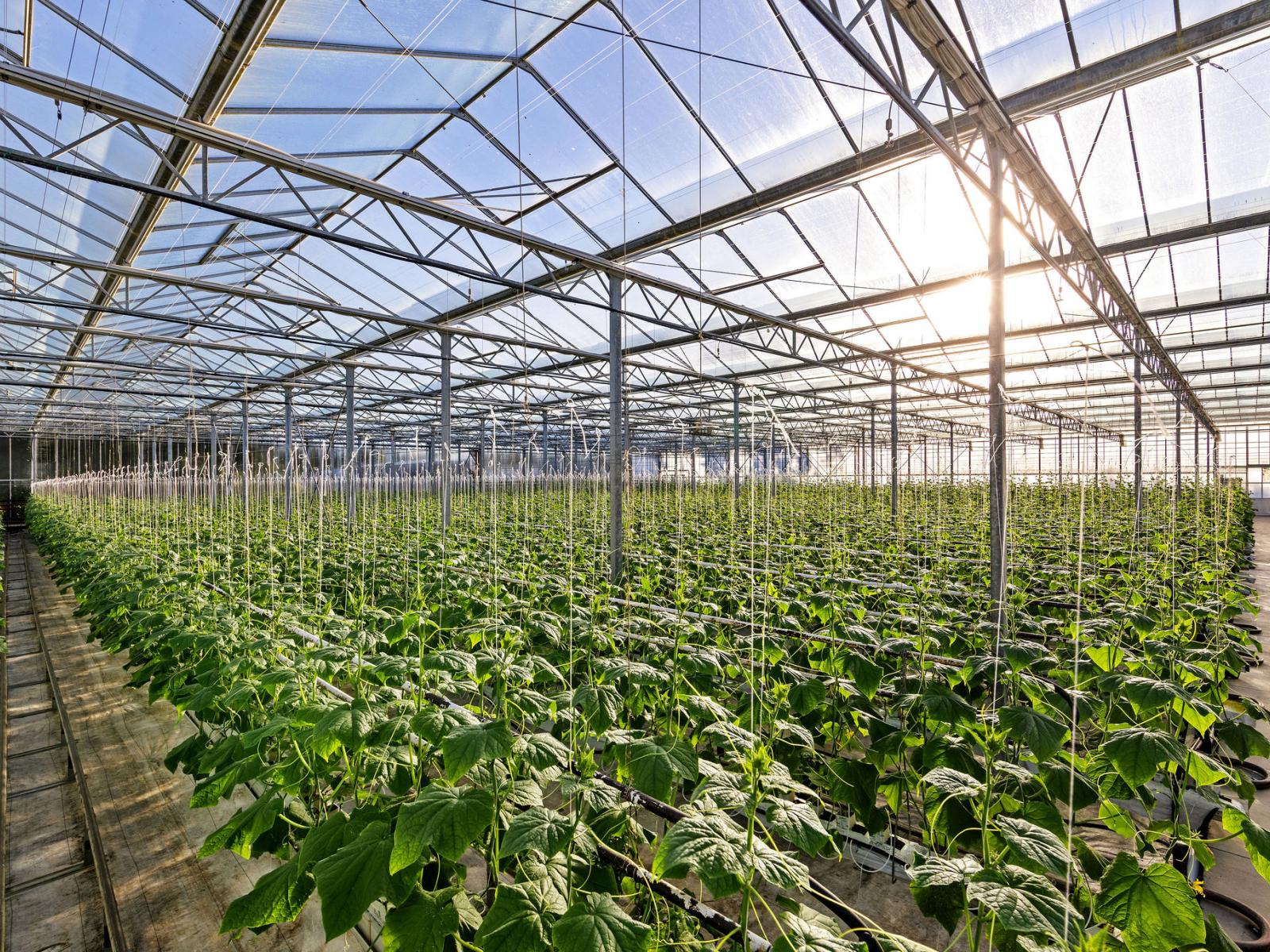 31 Madeleys Road, Clarkville