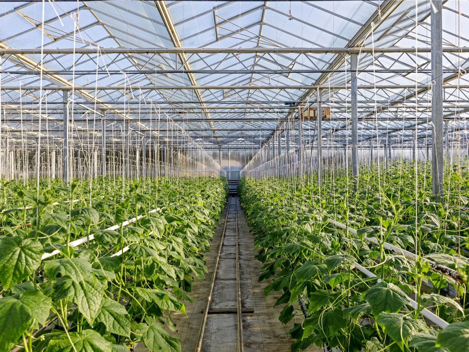 31 Madeleys Road, Clarkville