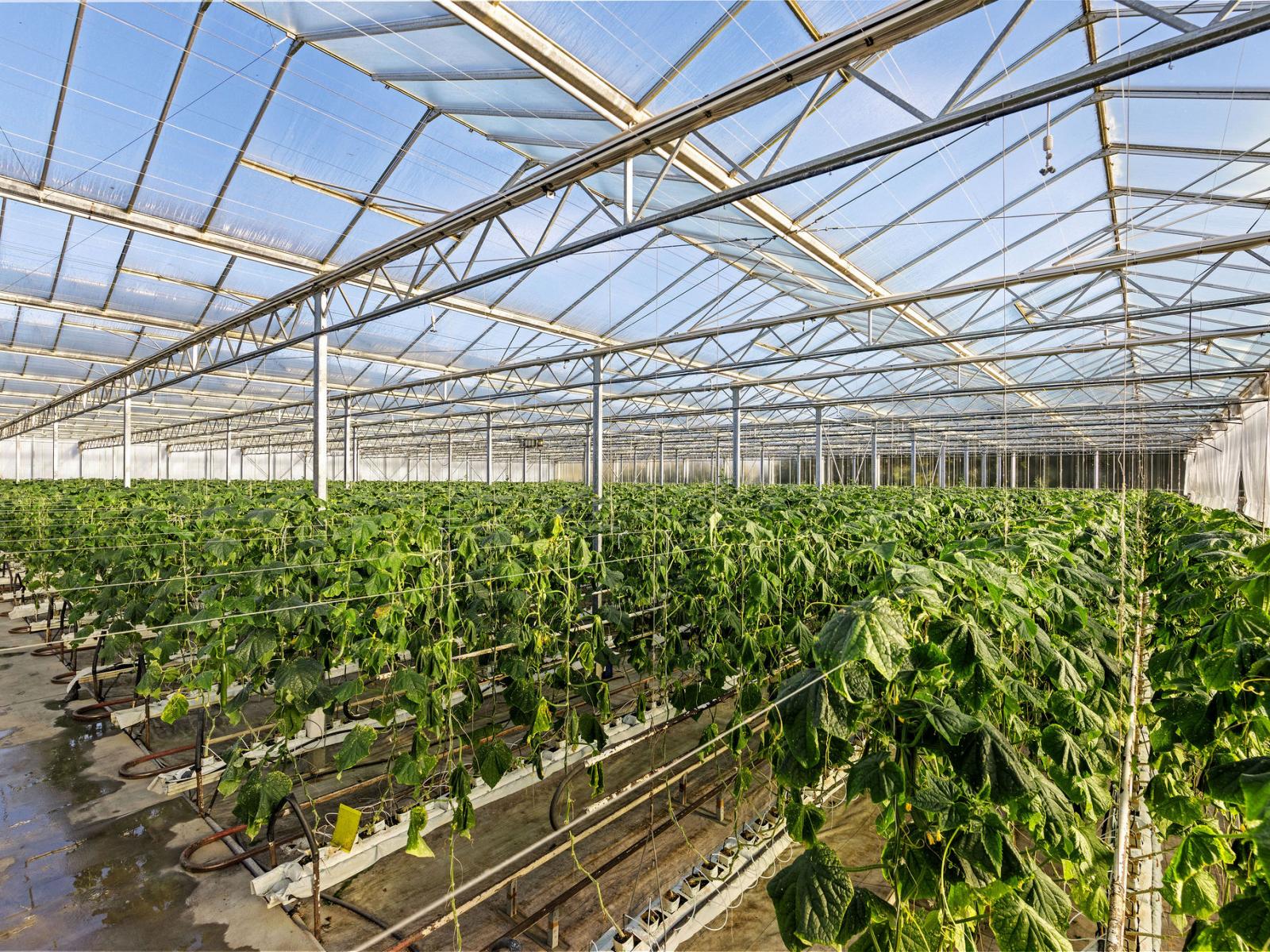 31 Madeleys Road, Clarkville