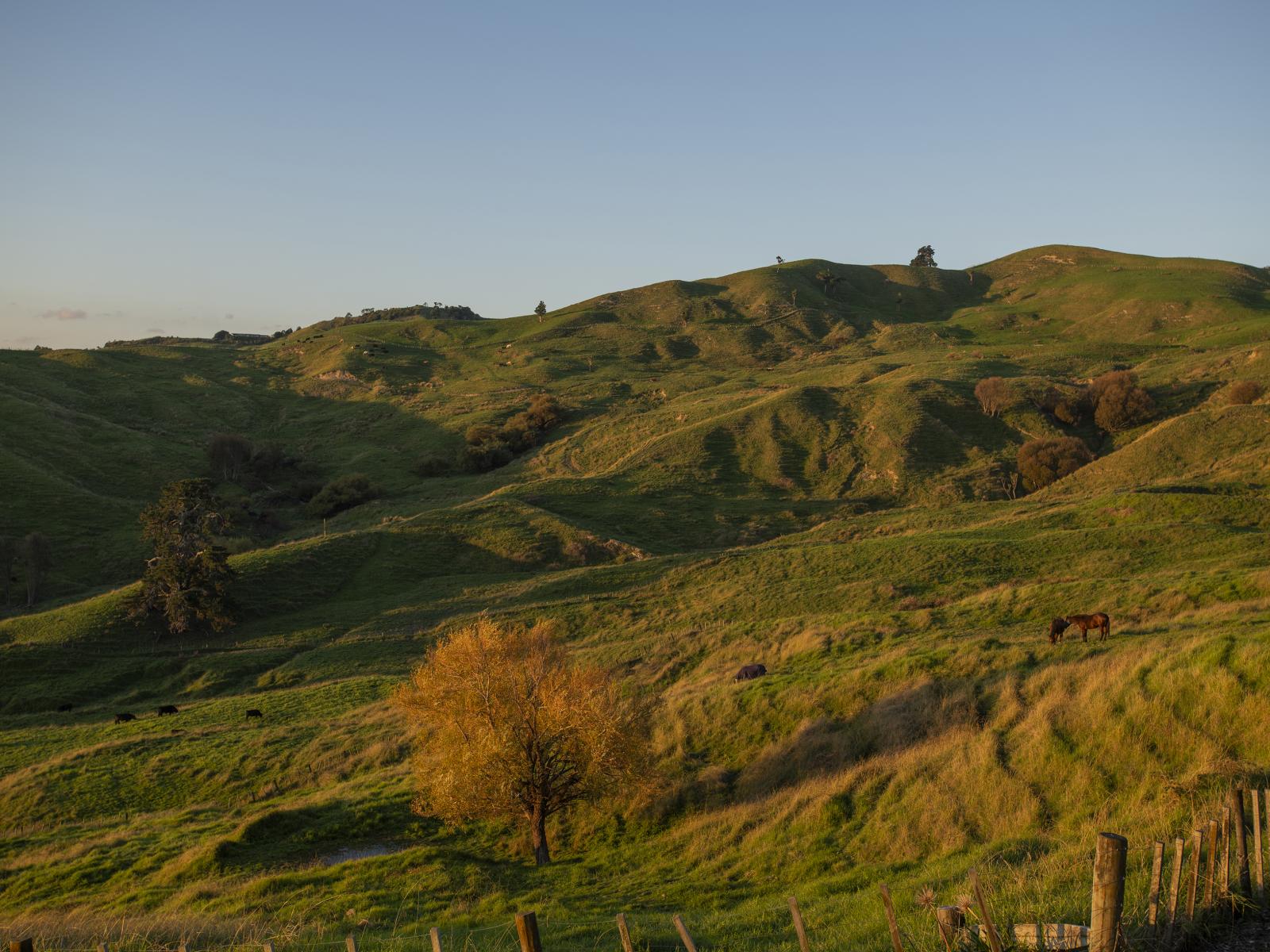 153 Wheatstone Road, Wainui