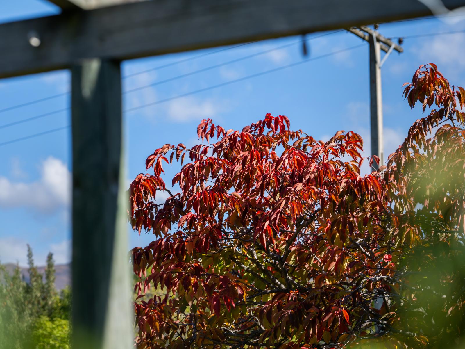 Lot 2 452 Aubrey Road, Wanaka