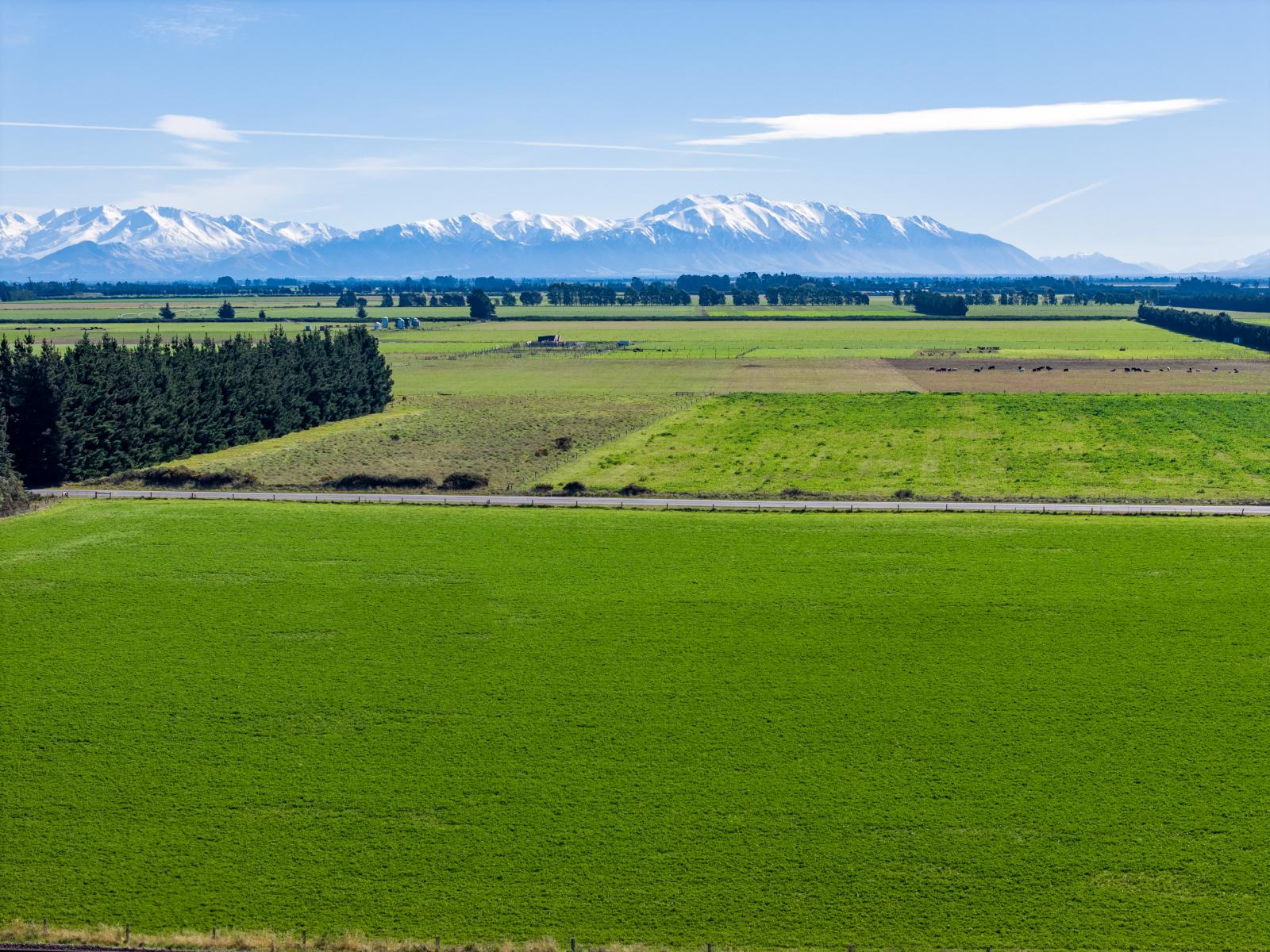 Rakaia Highway, Chertsey