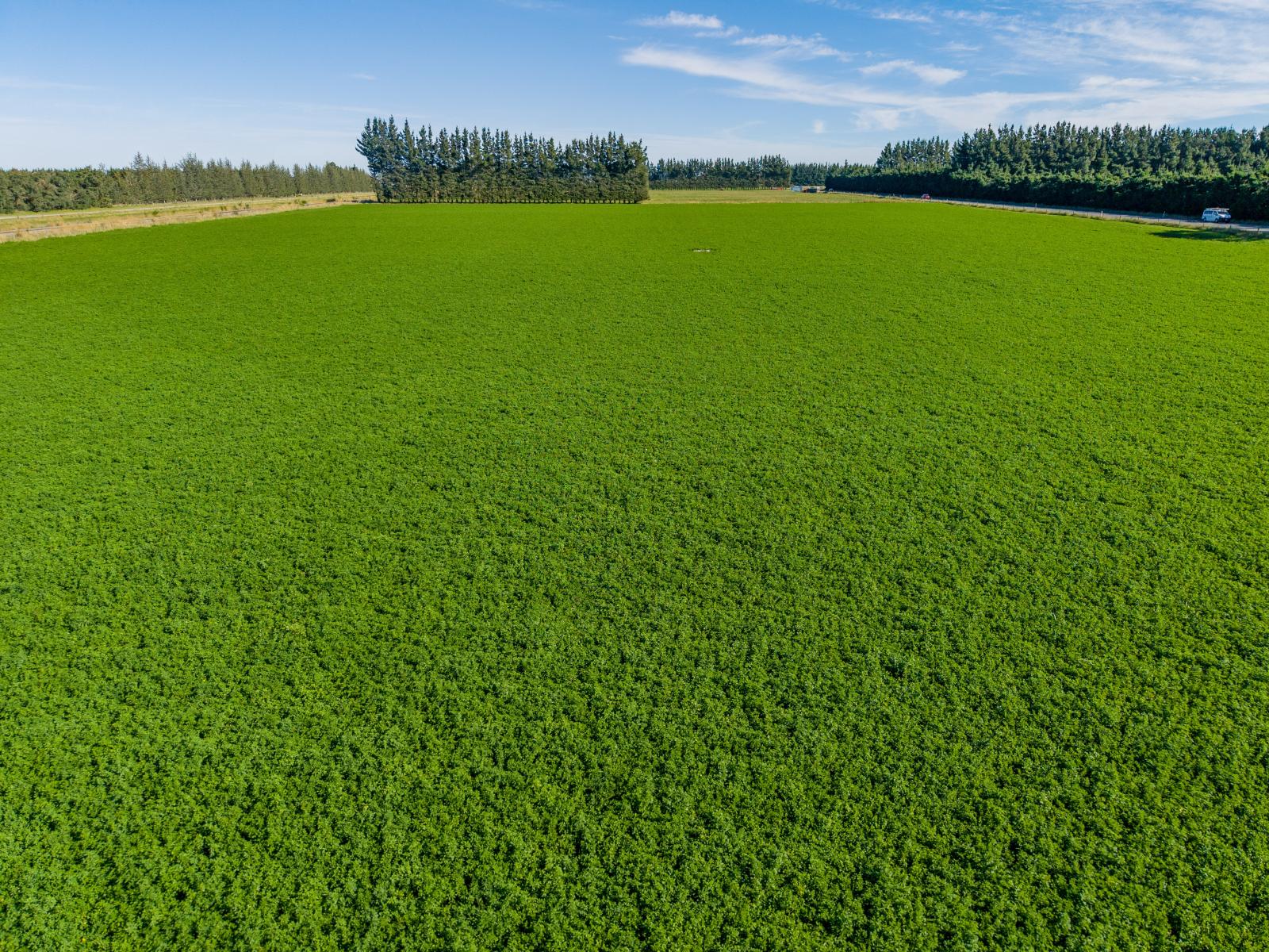 Rakaia Highway, Chertsey