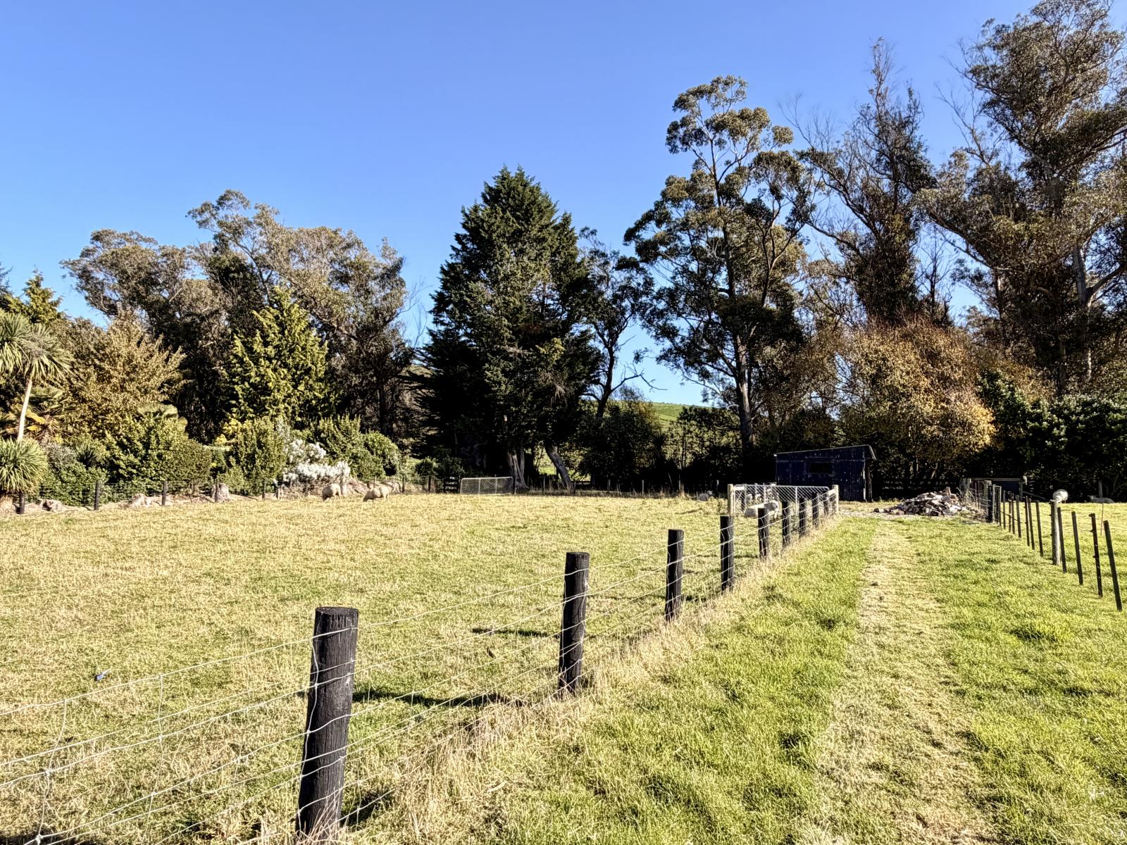 249 Pukeuri-Oamaru Road, Pukeuri