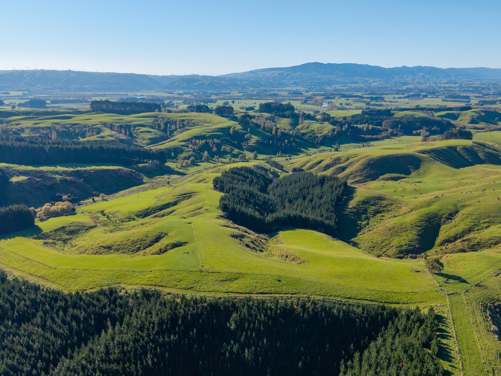 Ridge Road North, Pahiatua