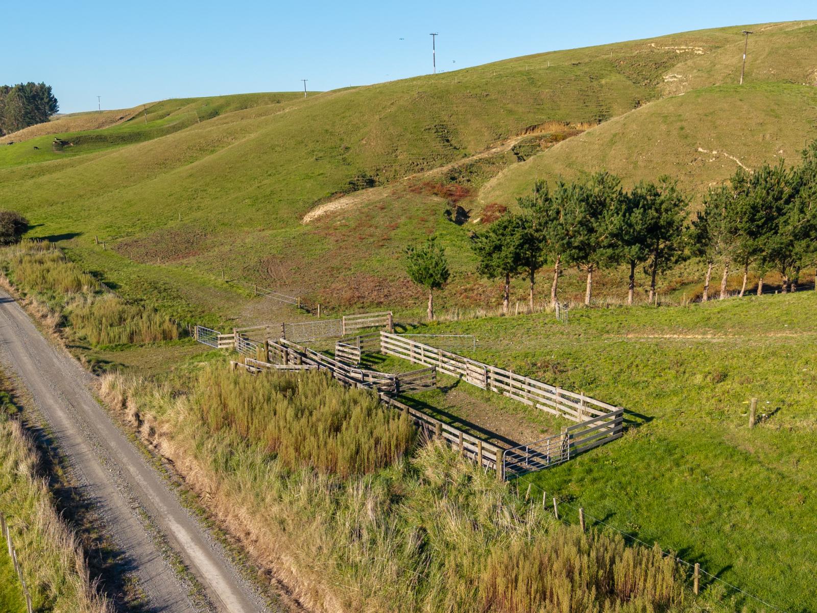 Ridge Road North, Pahiatua