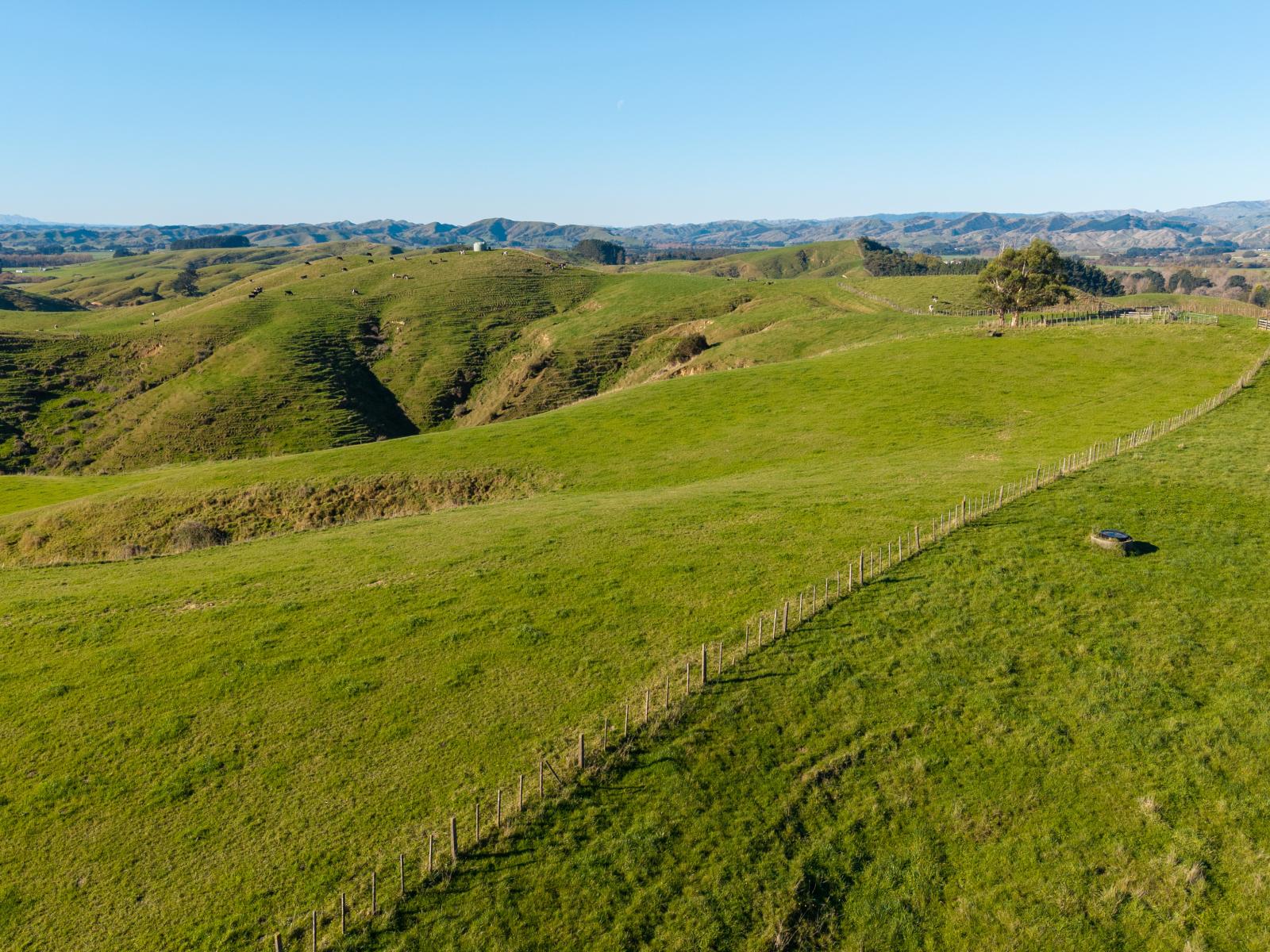 Ridge Road North, Pahiatua