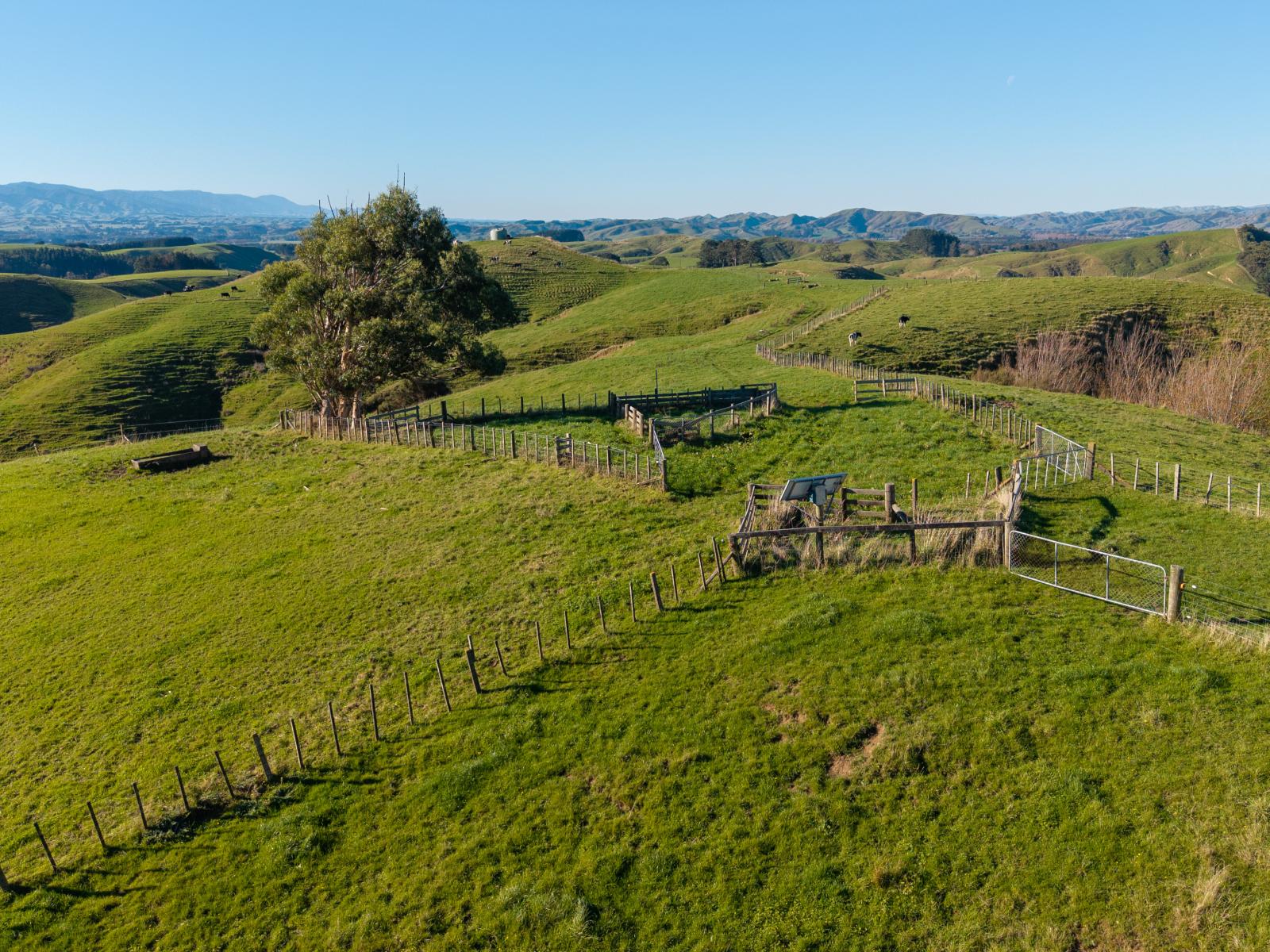 Ridge Road North, Pahiatua