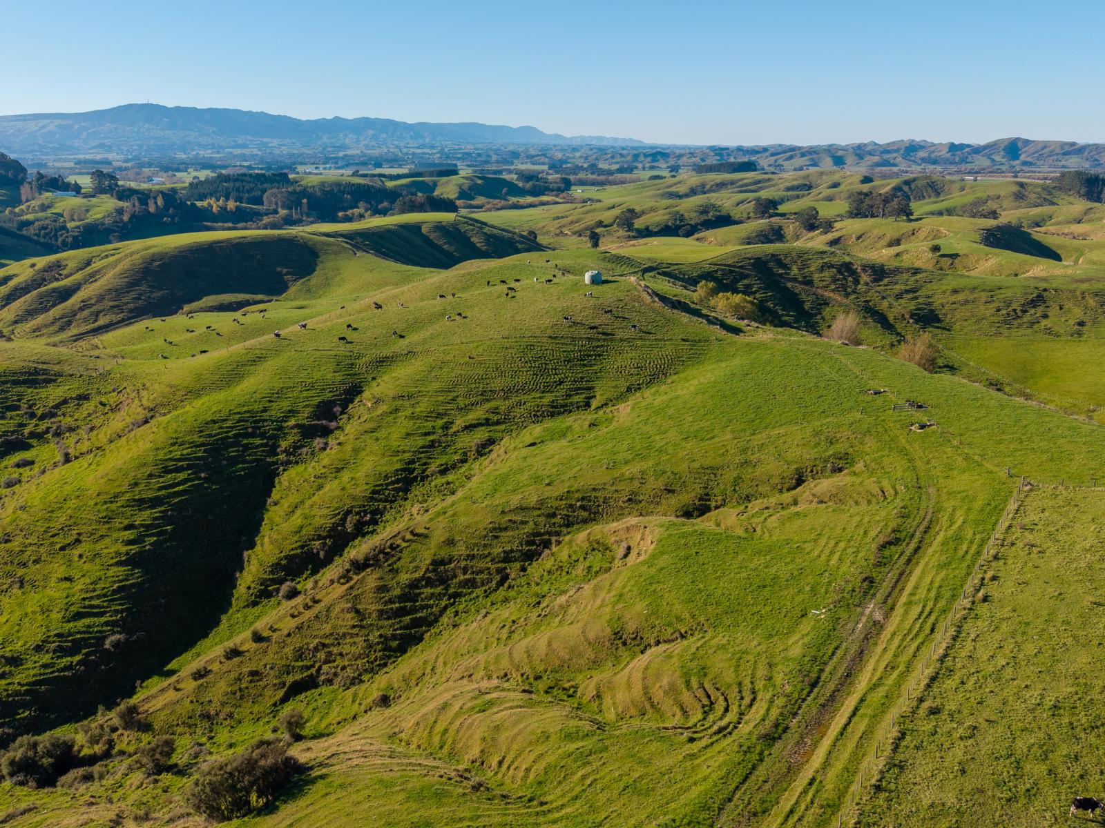 Ridge Road North, Pahiatua