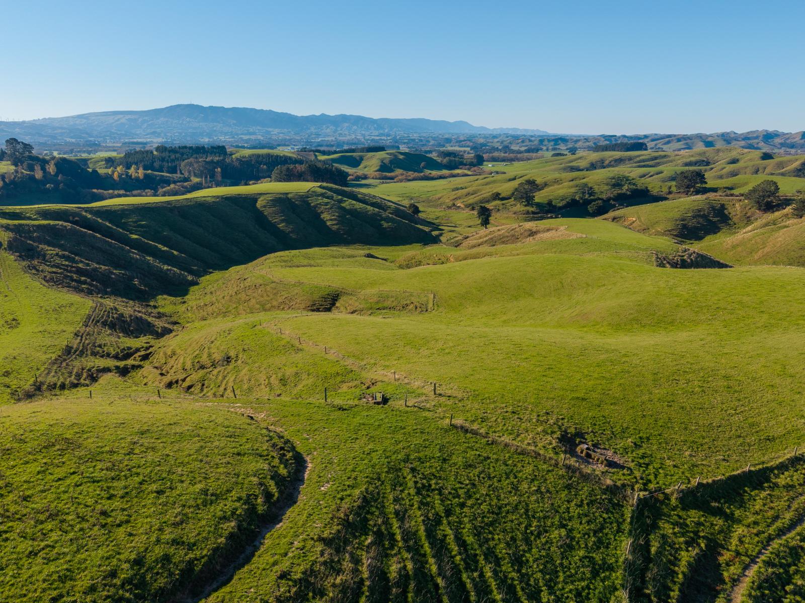 Ridge Road North, Pahiatua