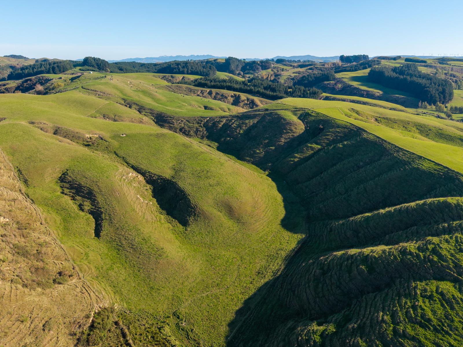 Ridge Road North, Pahiatua