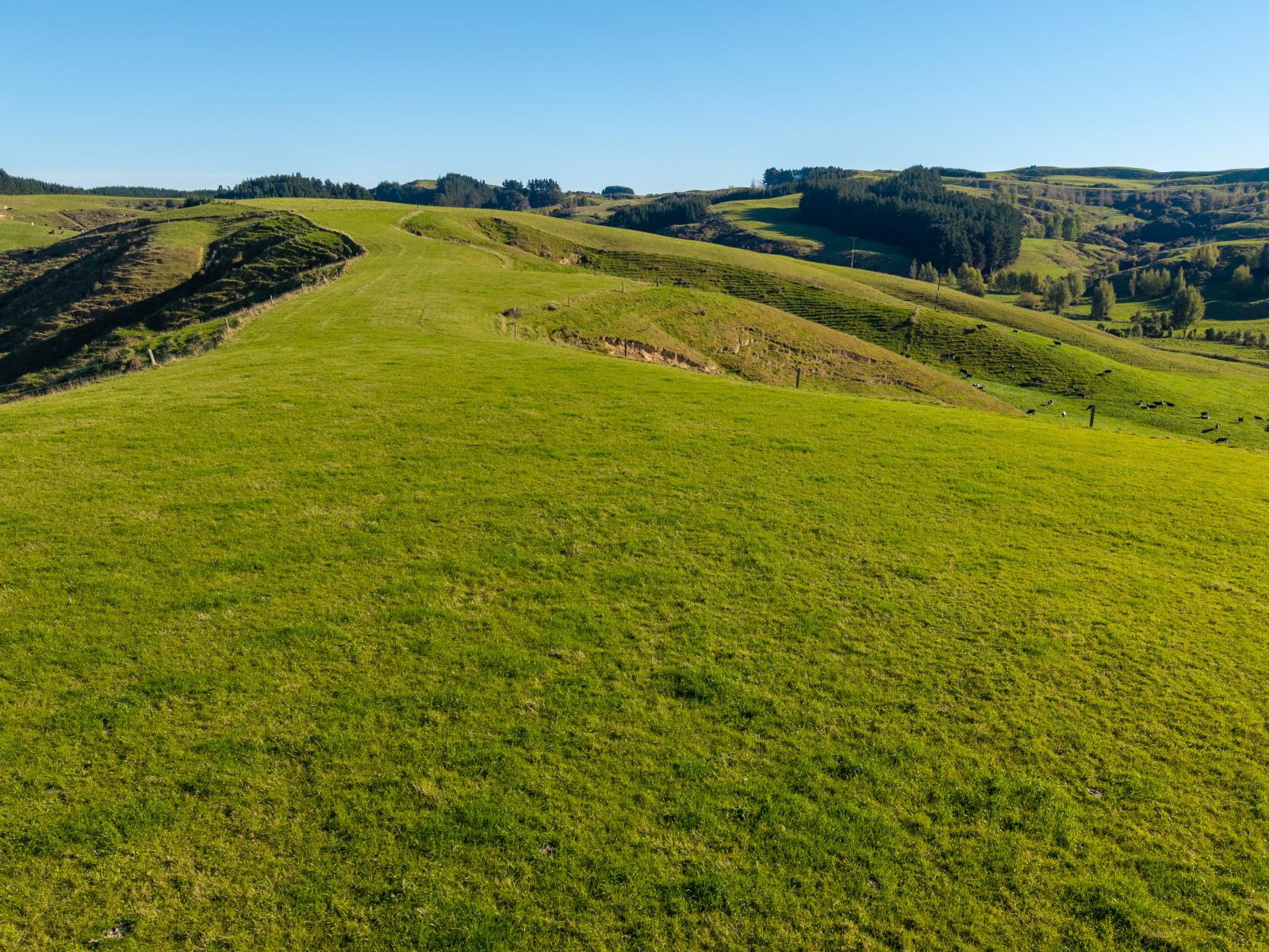 Ridge Road North, Pahiatua