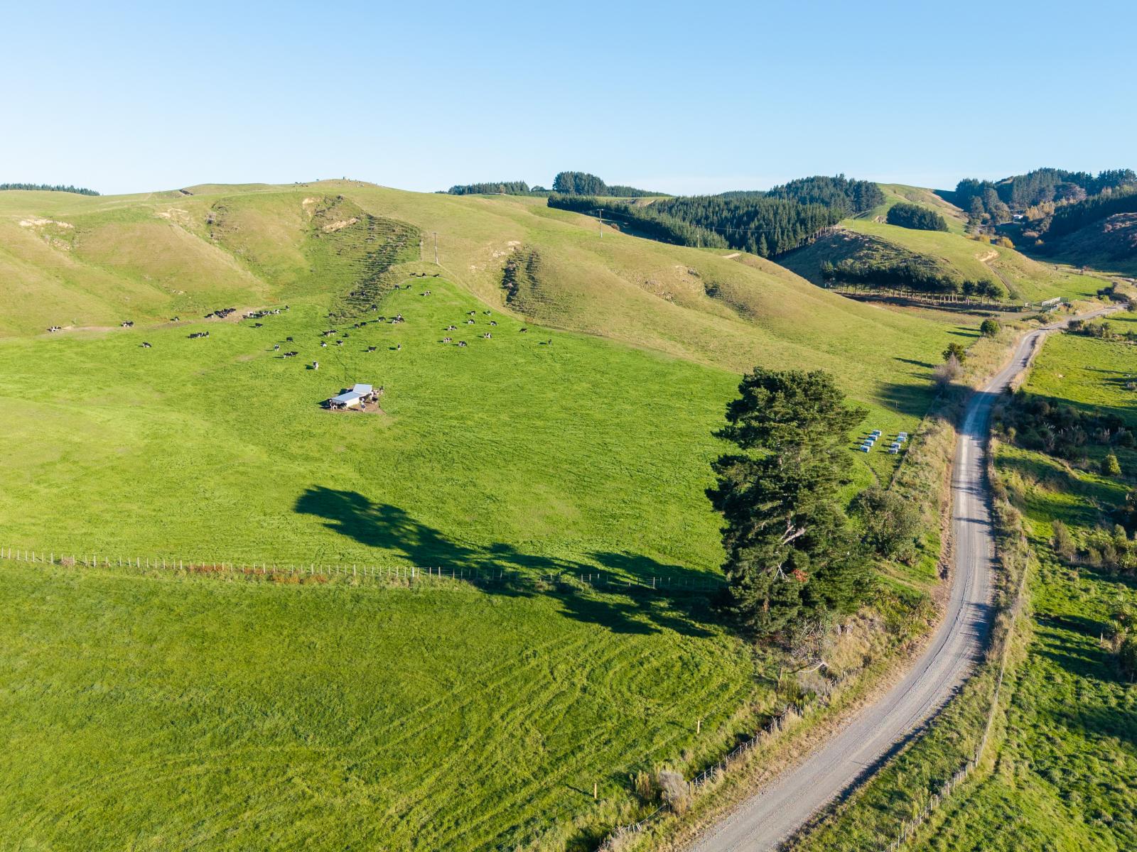 Ridge Road North, Pahiatua