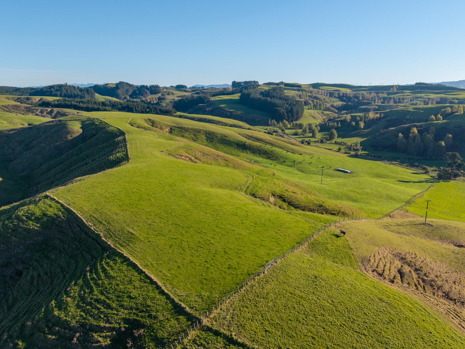 Ridge Road North, Pahiatua
