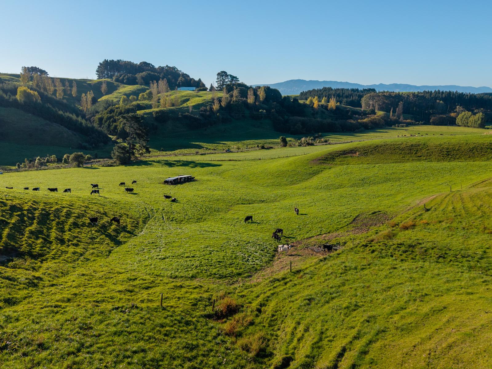 Ridge Road North, Pahiatua