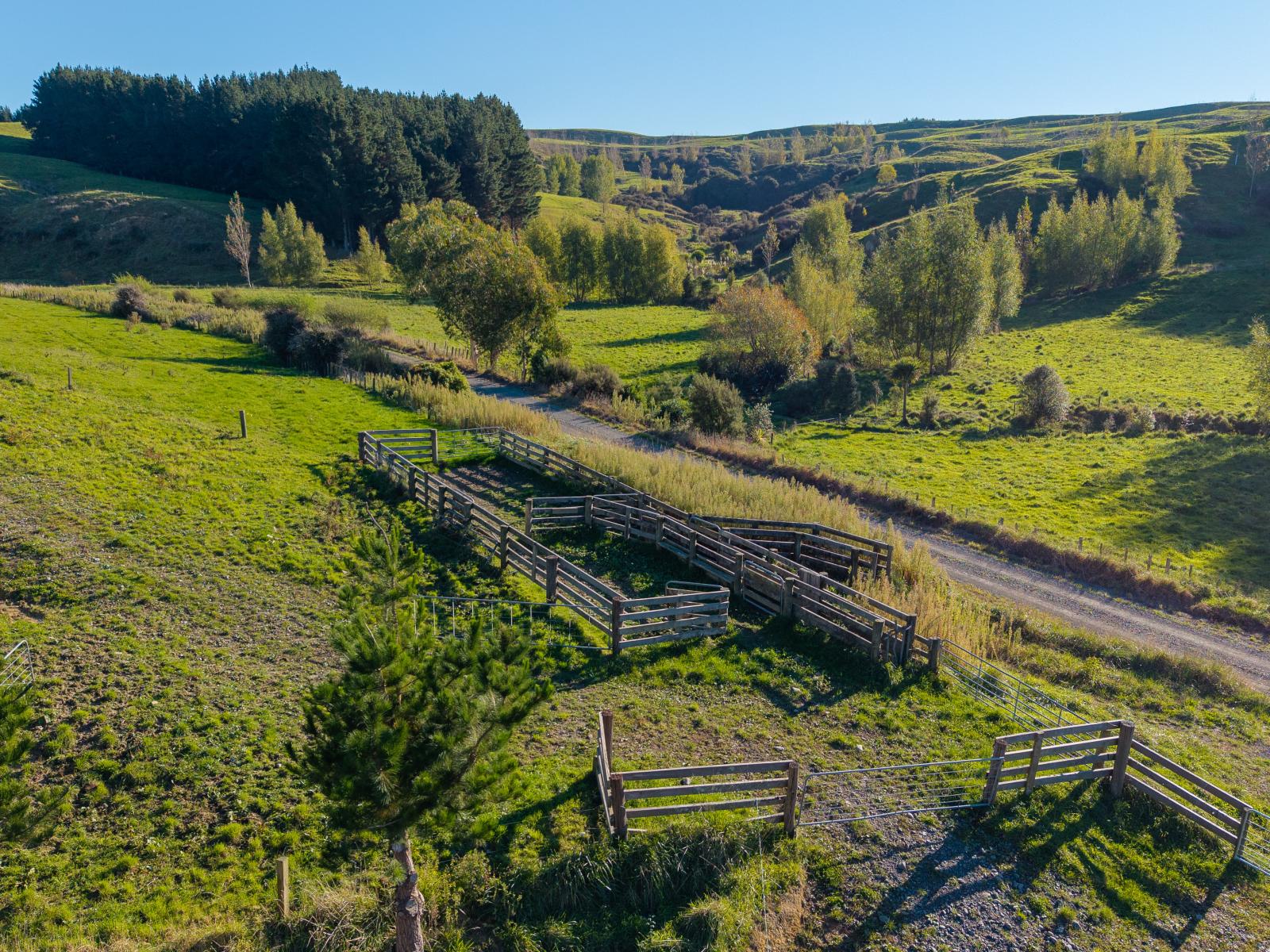 Ridge Road North, Pahiatua