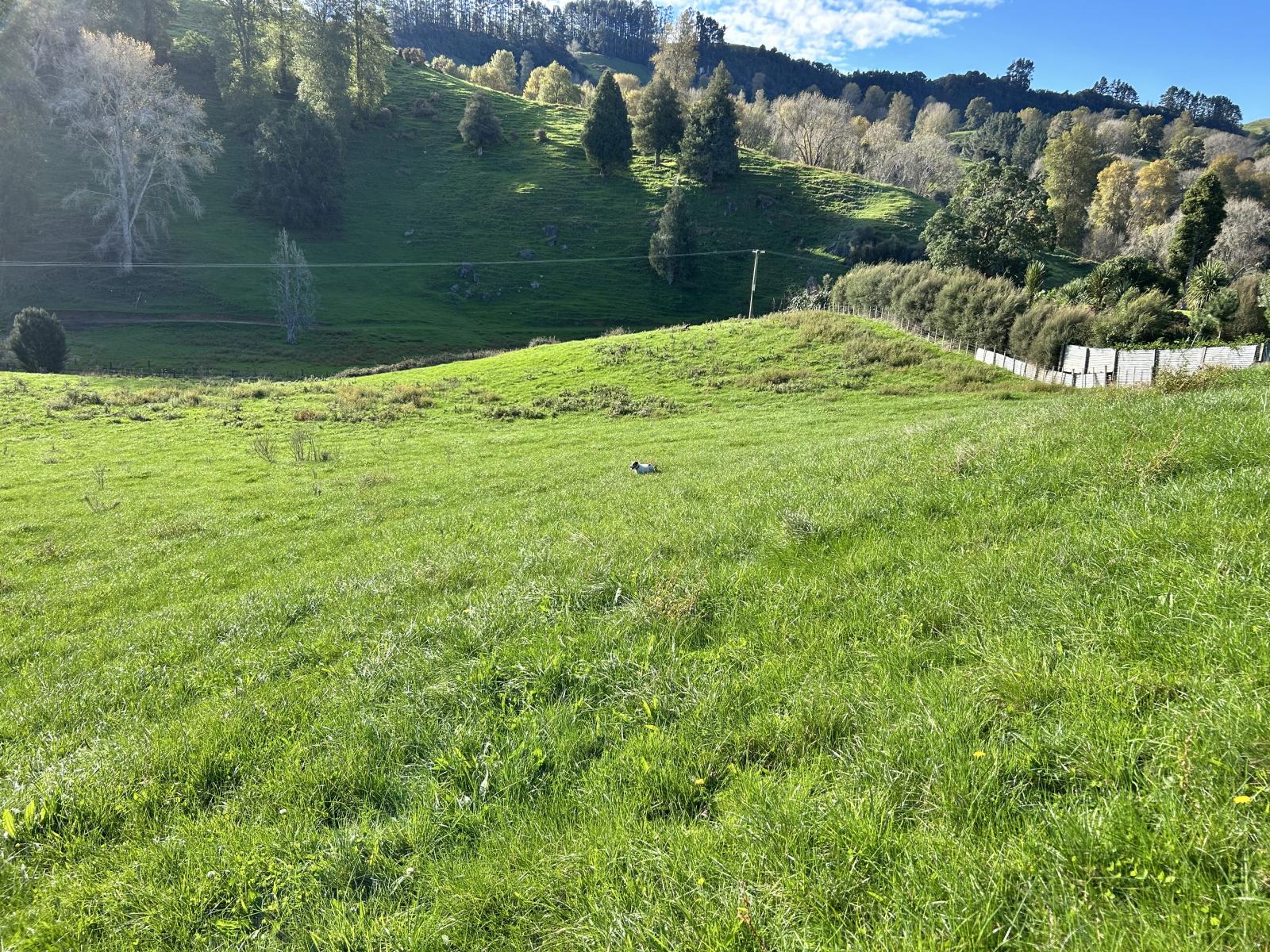 1/627 Waitomo Valley Road, Otorohanga