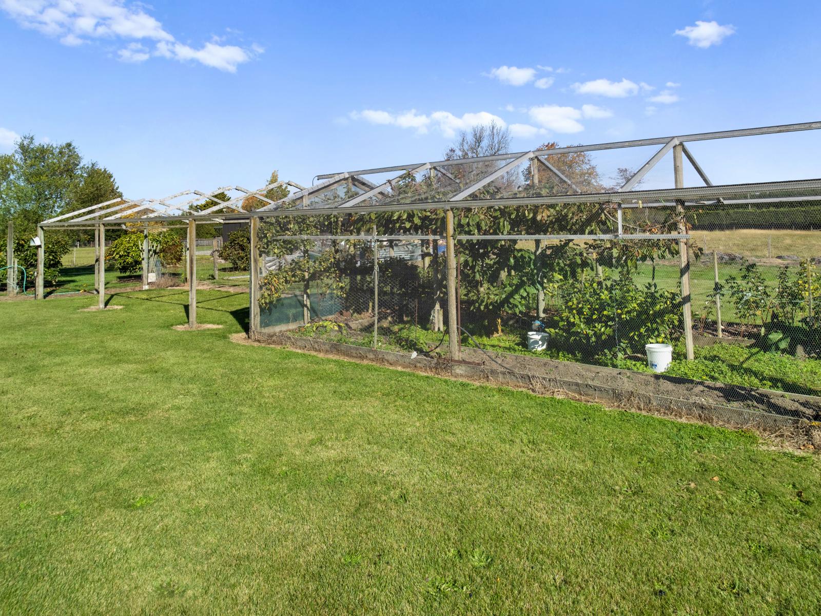 108 Bremners Road, Netherby