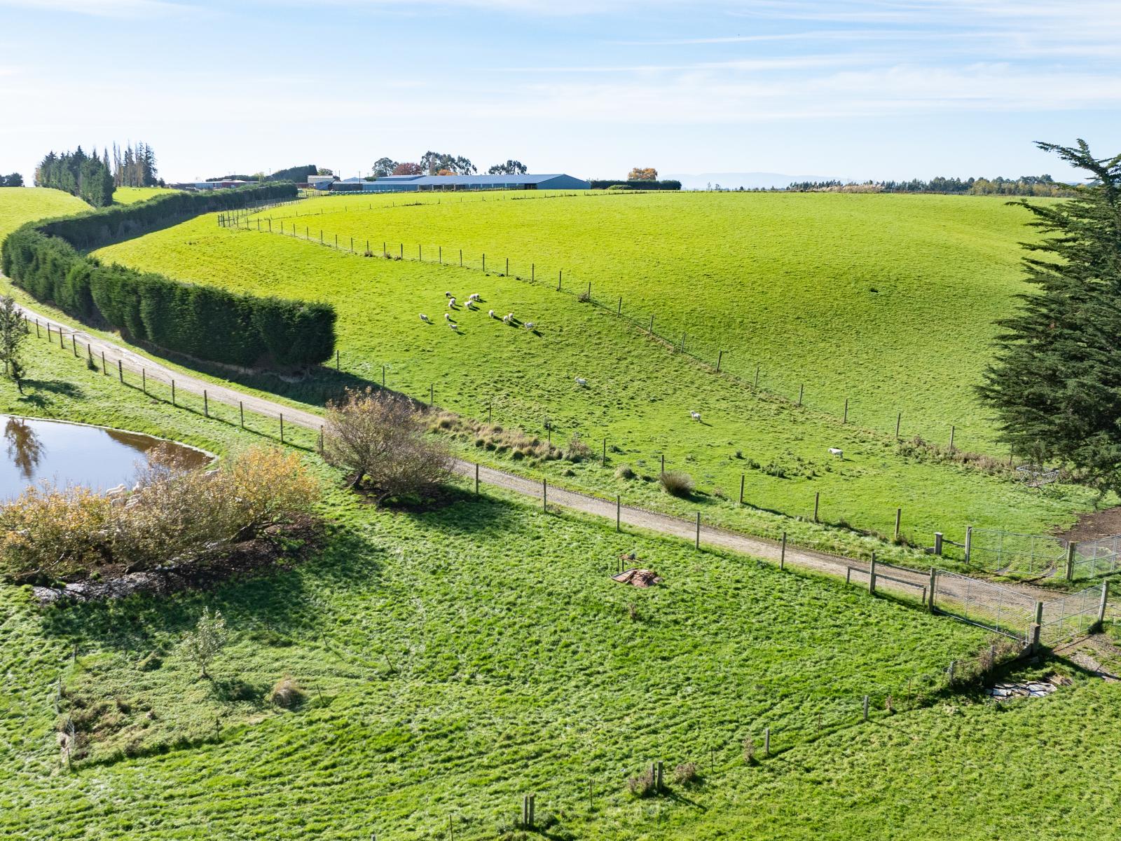 305C Waimumu Road, Waimumu