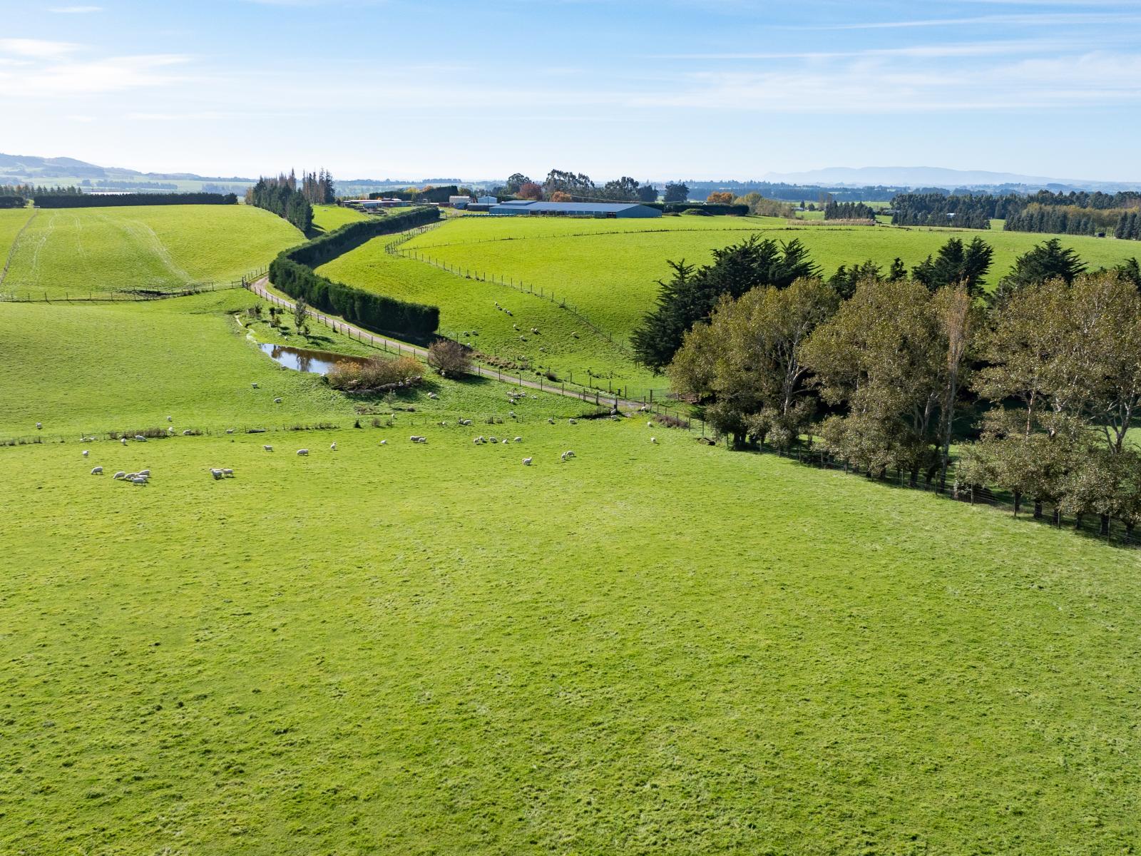 305C Waimumu Road, Waimumu