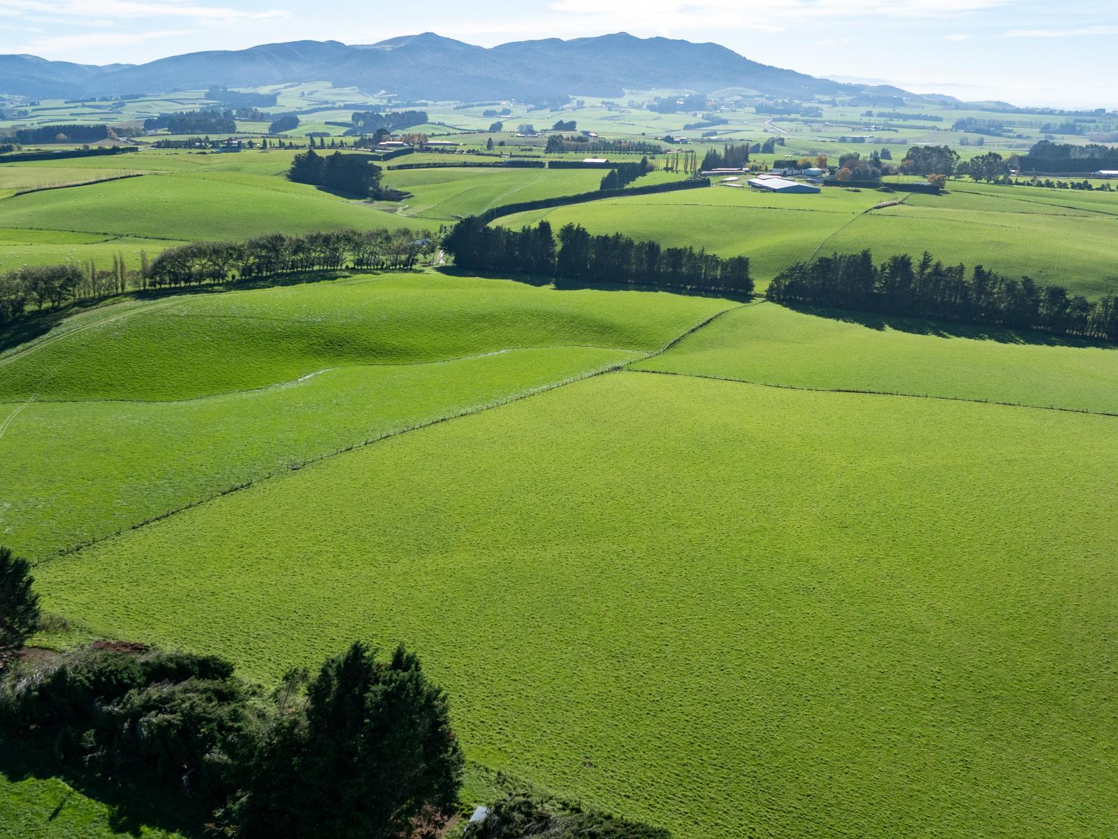 305C Waimumu Road, Waimumu