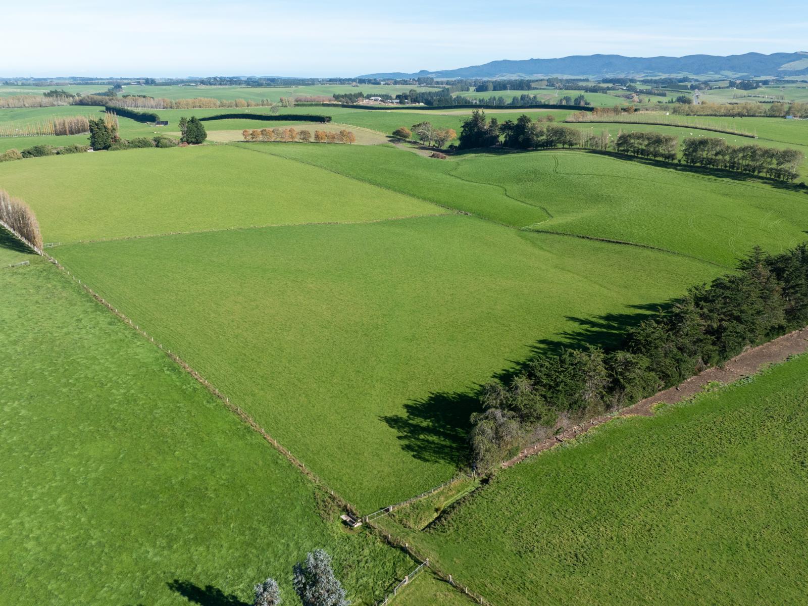 305C Waimumu Road, Waimumu