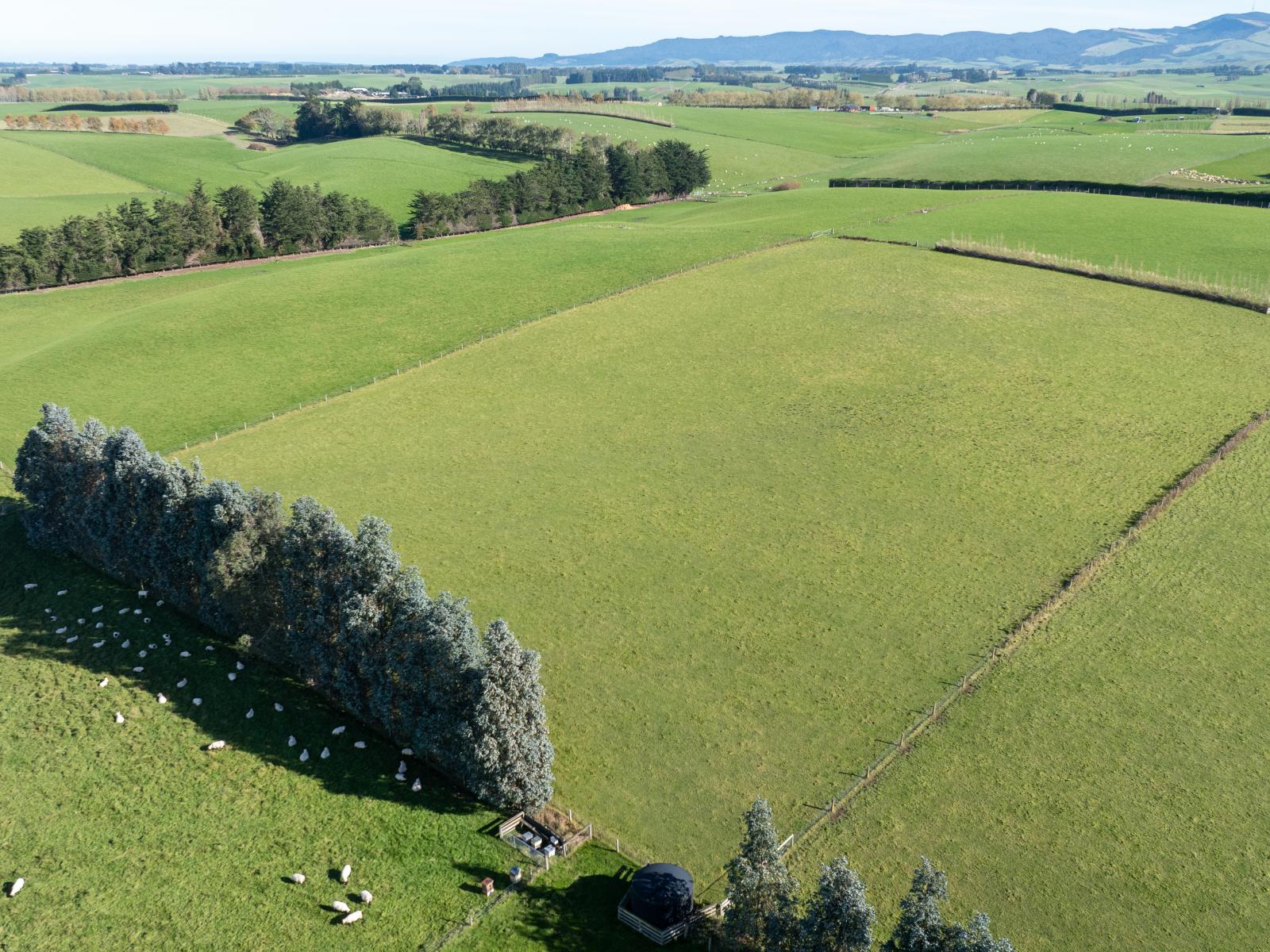 305C Waimumu Road, Waimumu