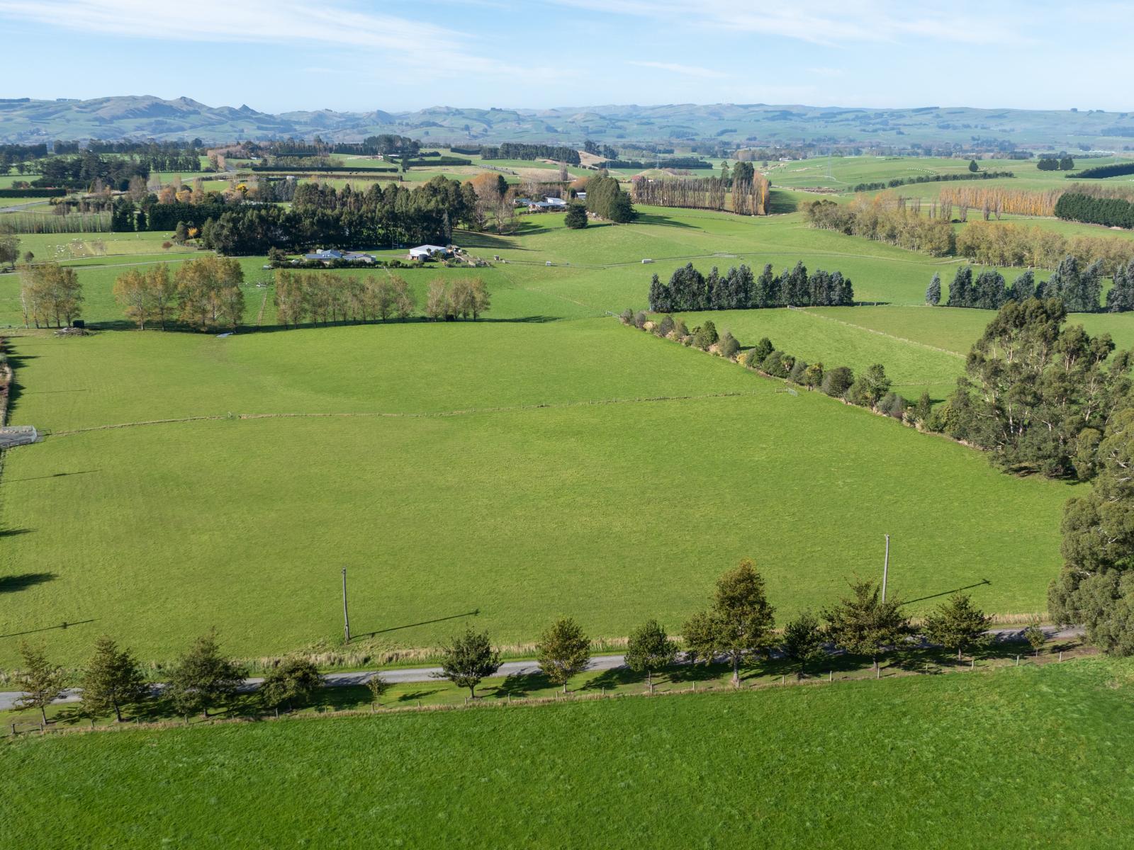 297 and 299 Waimumu Road, Waimumu
