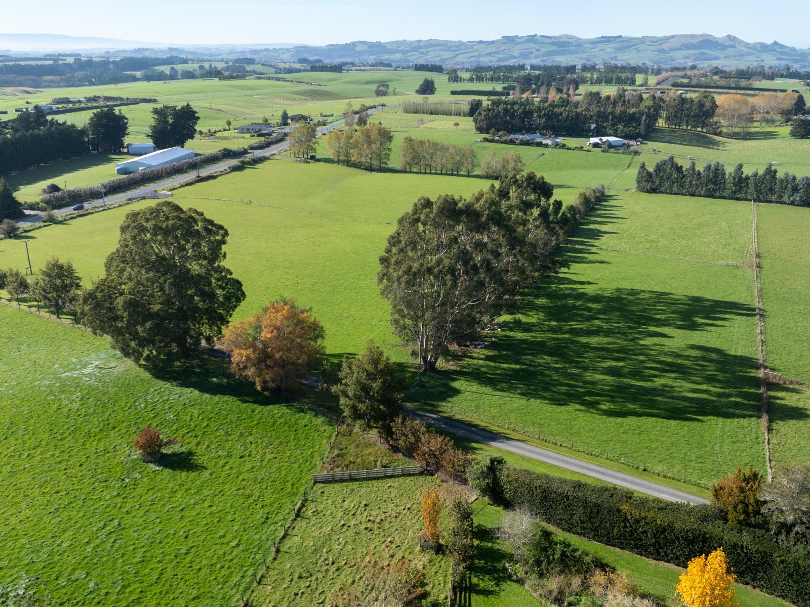 297 and 299 Waimumu Road, Waimumu