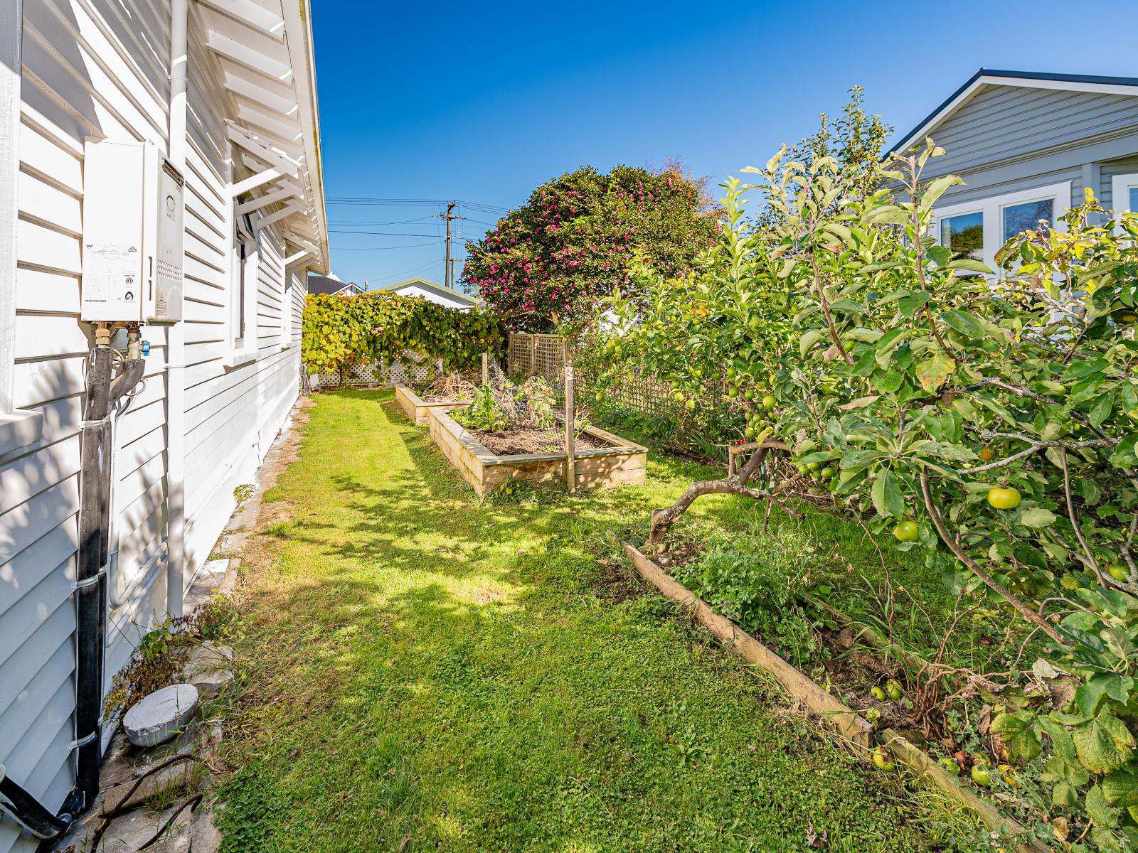 59 Jellicoe Street, Whanganui East