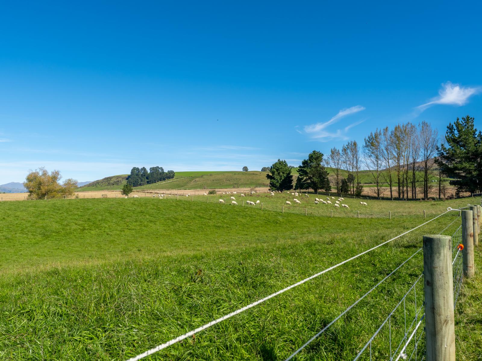 228 O'Neills Road, Fairlie