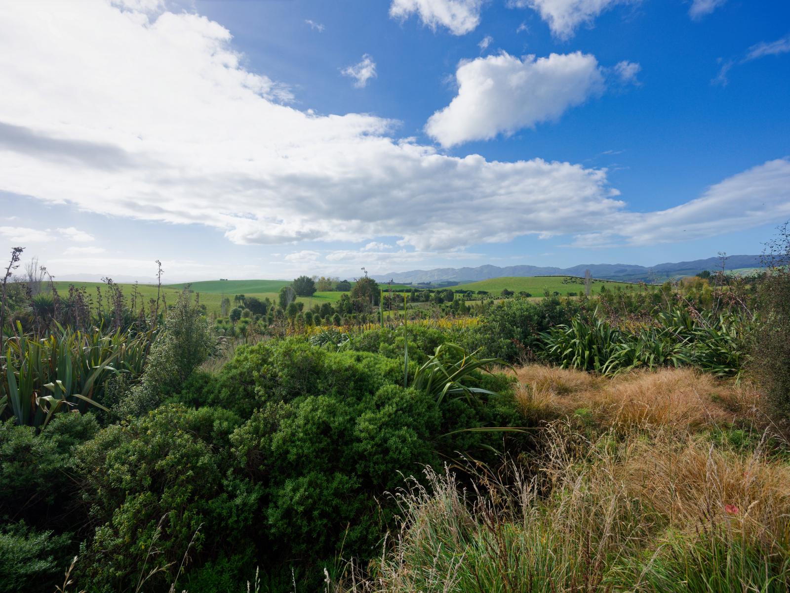 185 Sinclair Road, Cheviot