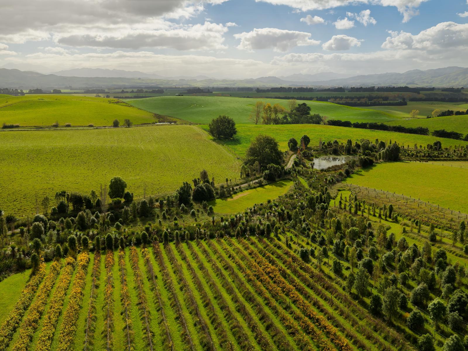 185 Sinclair Road, Cheviot