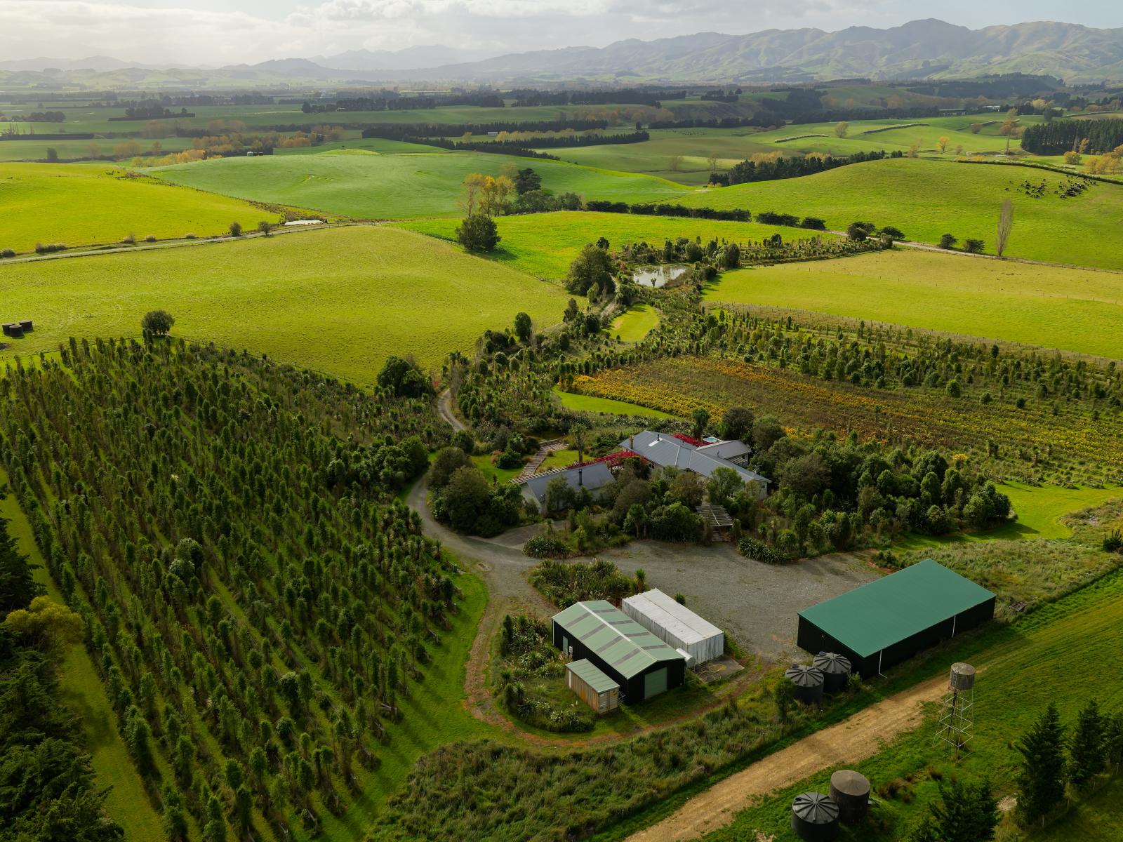 185 Sinclair Road, Cheviot