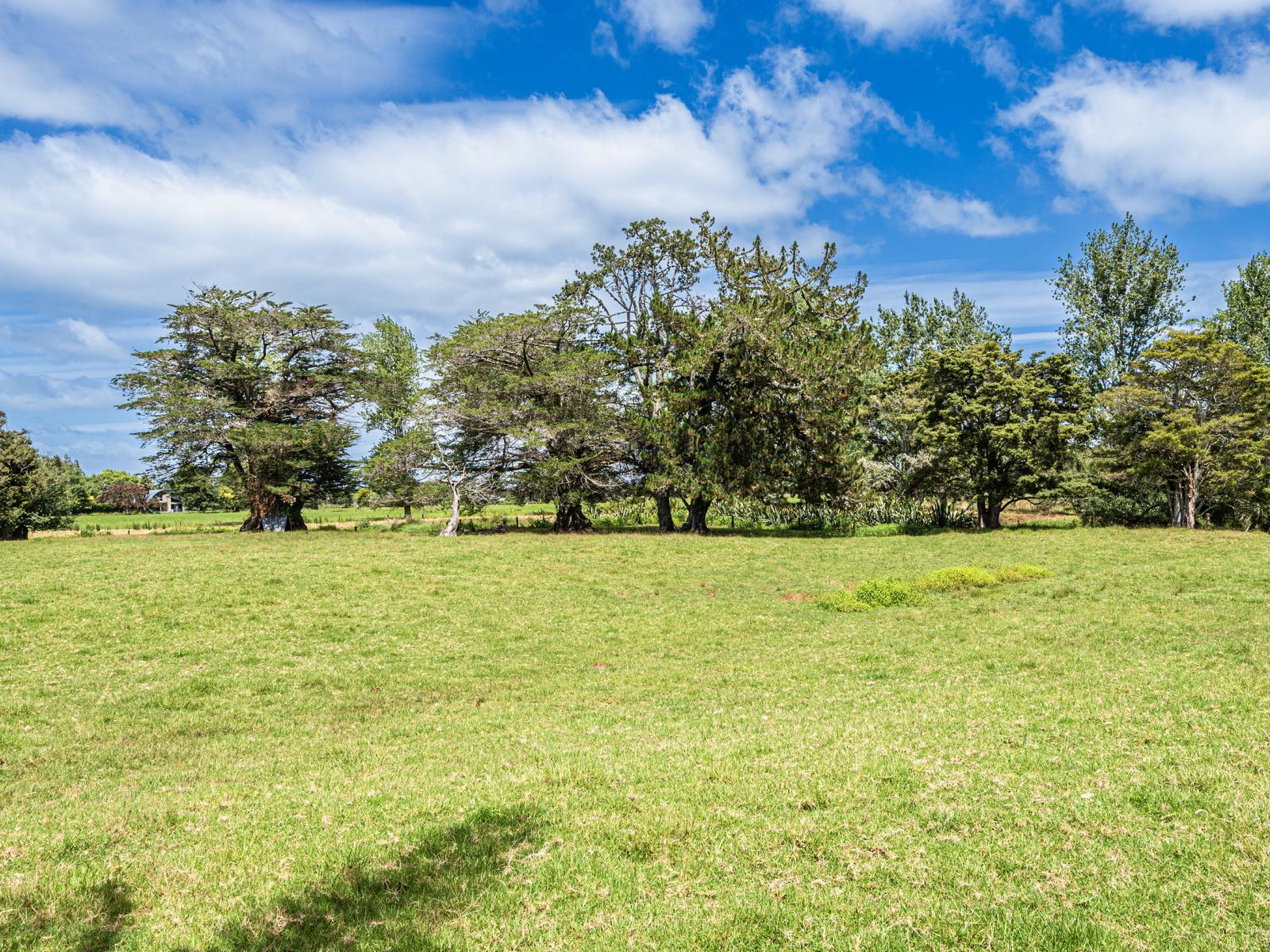 35 Thorburn Road, Ruatangata