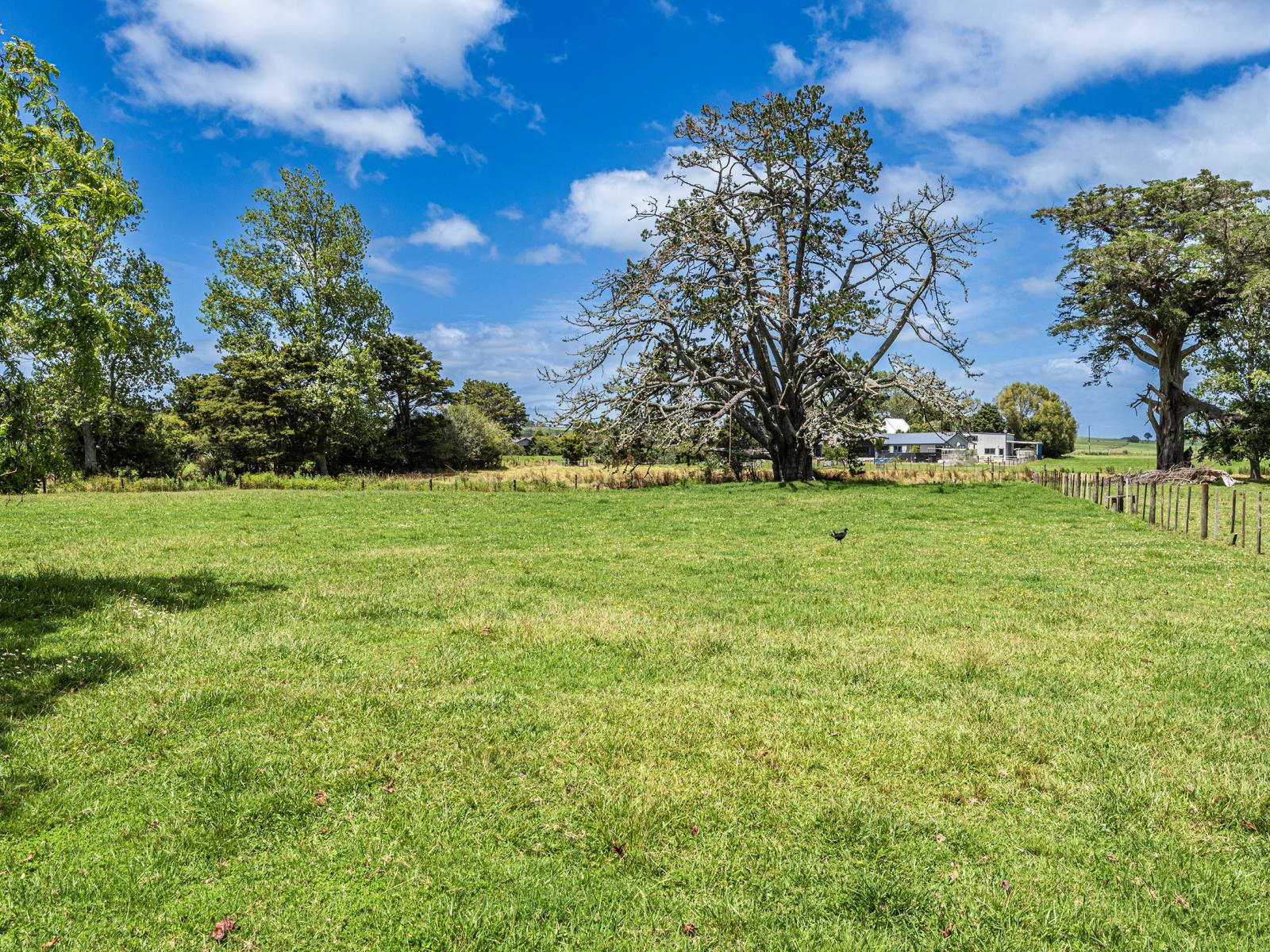 35 Thorburn Road, Ruatangata