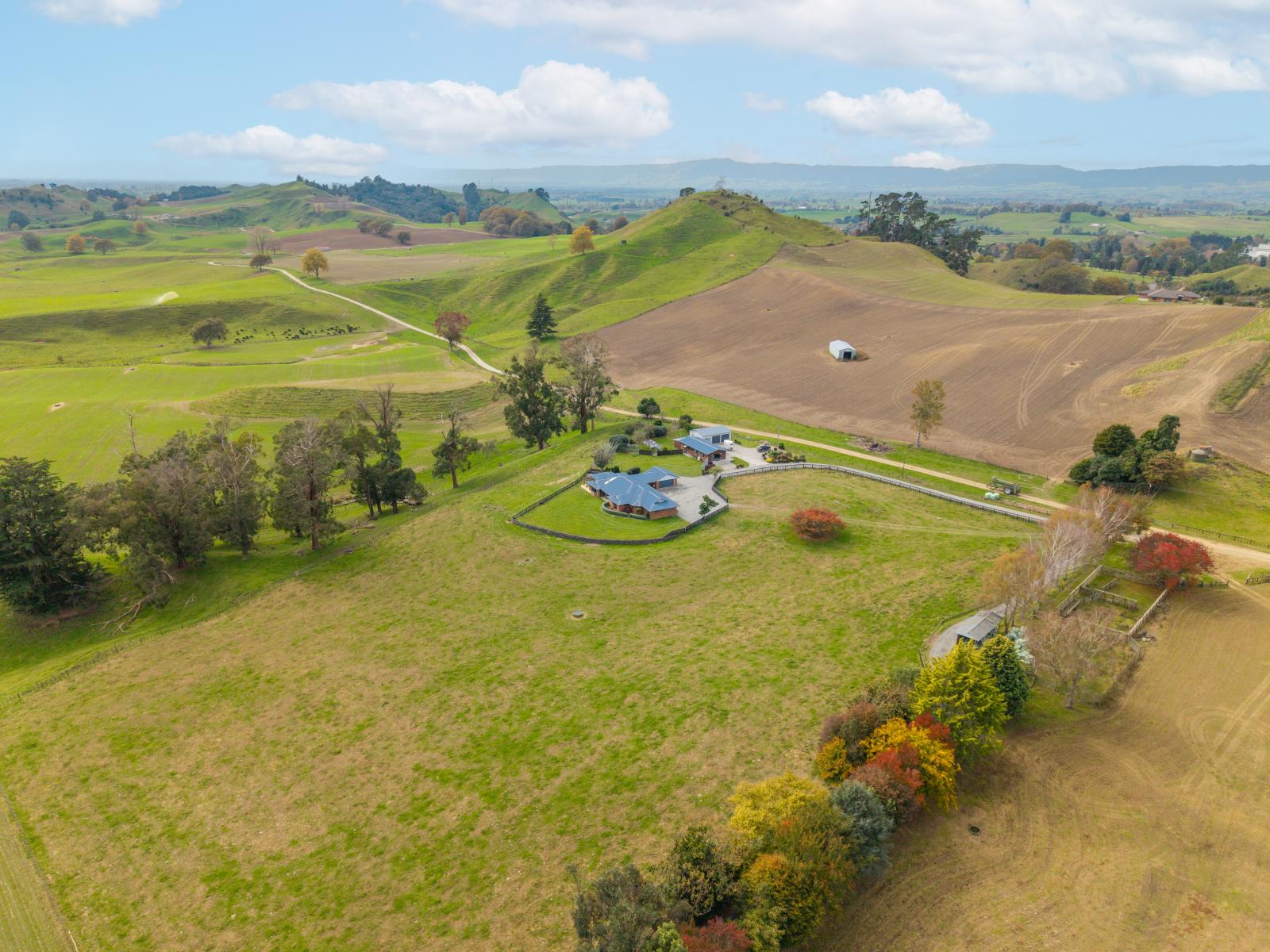 40 Paparamu Road, Piarere