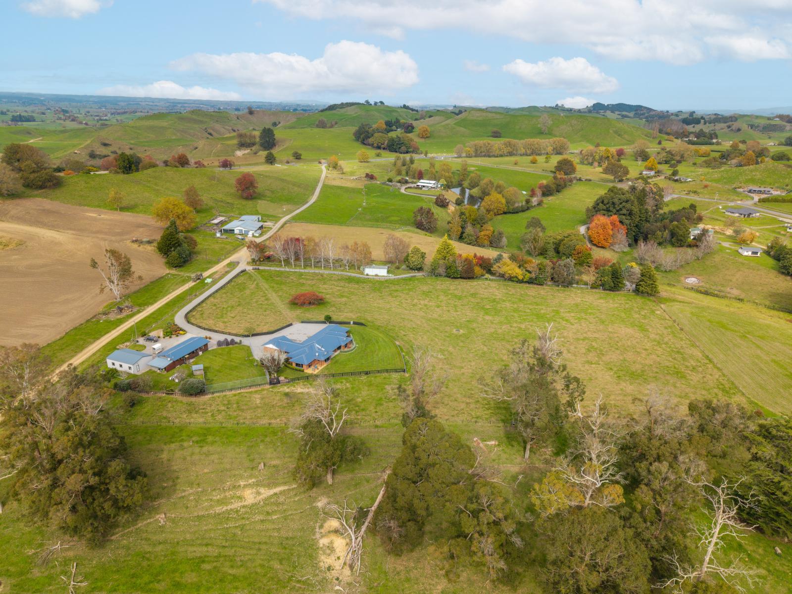 40 Paparamu Road, Piarere