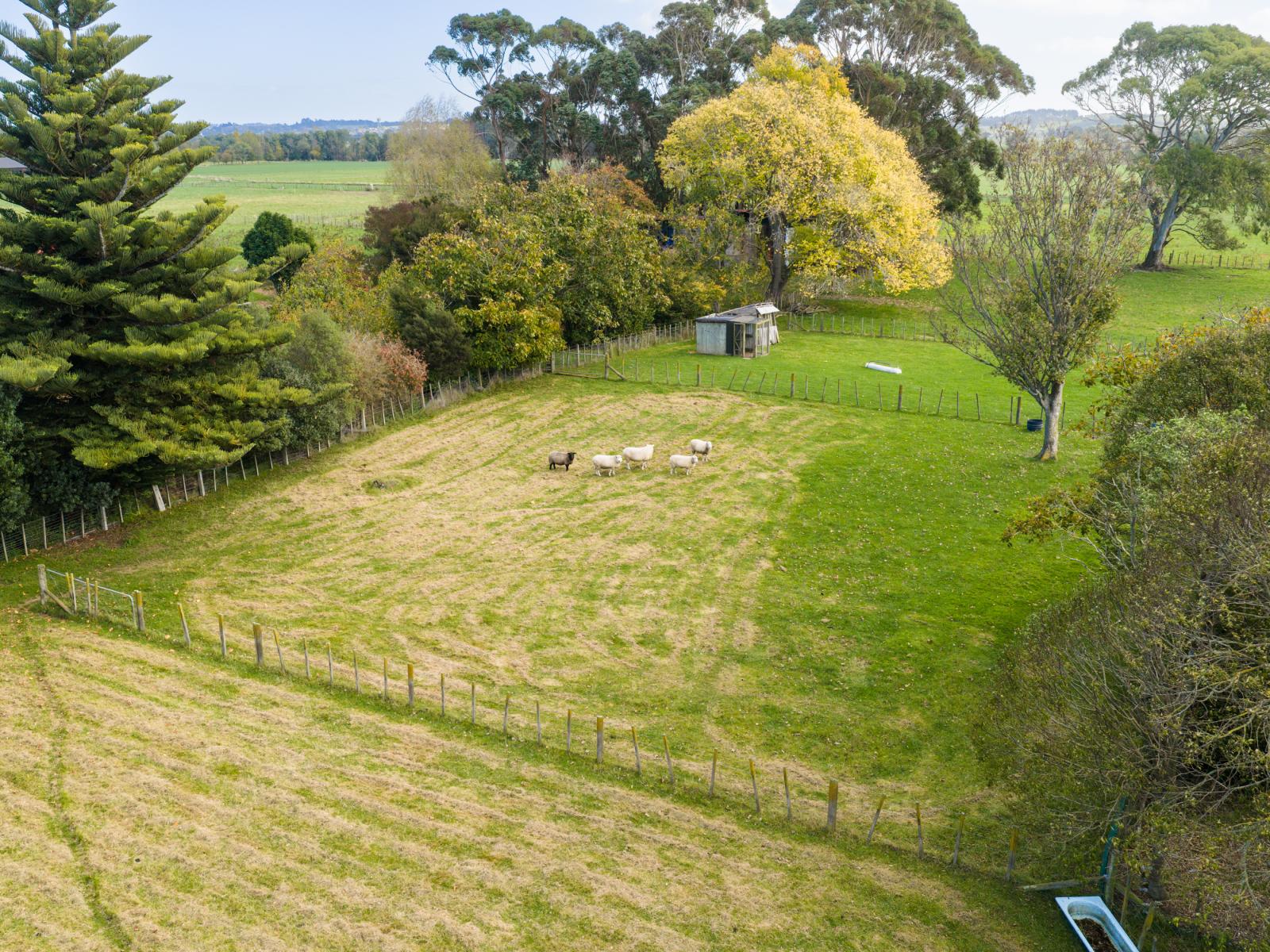659 Kimbolton Road, Feilding