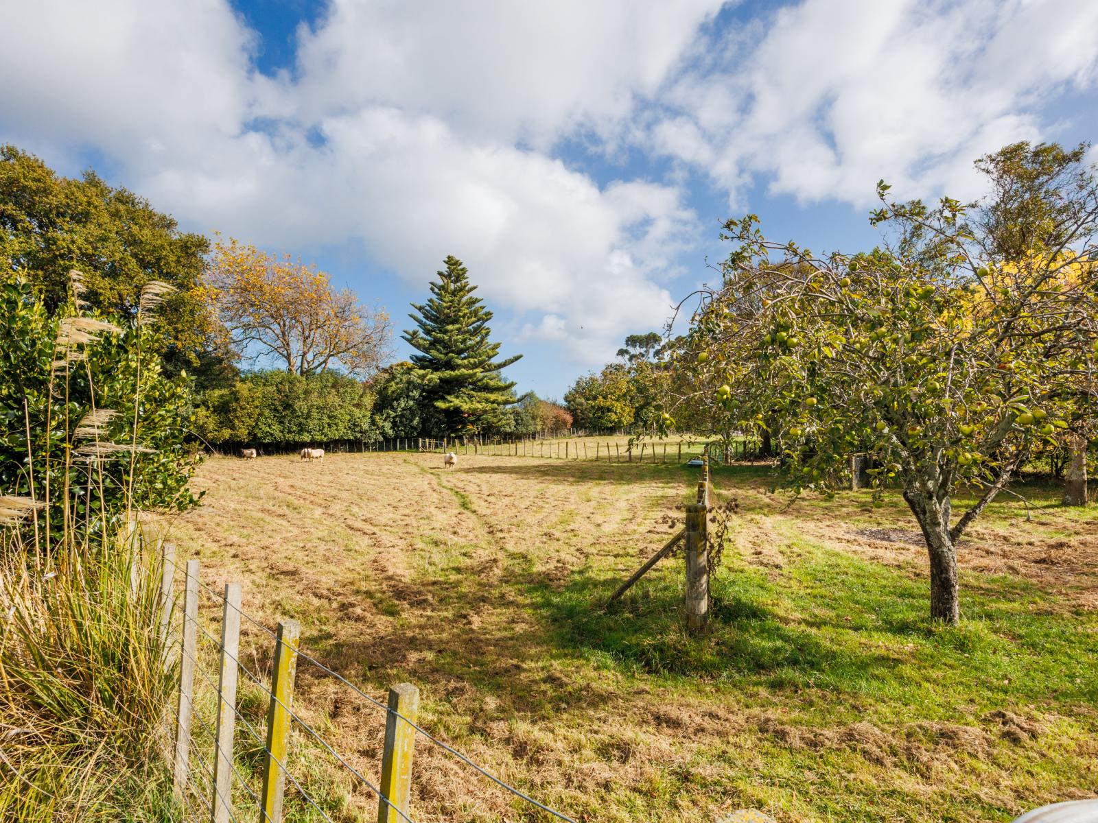 659 Kimbolton Road, Feilding