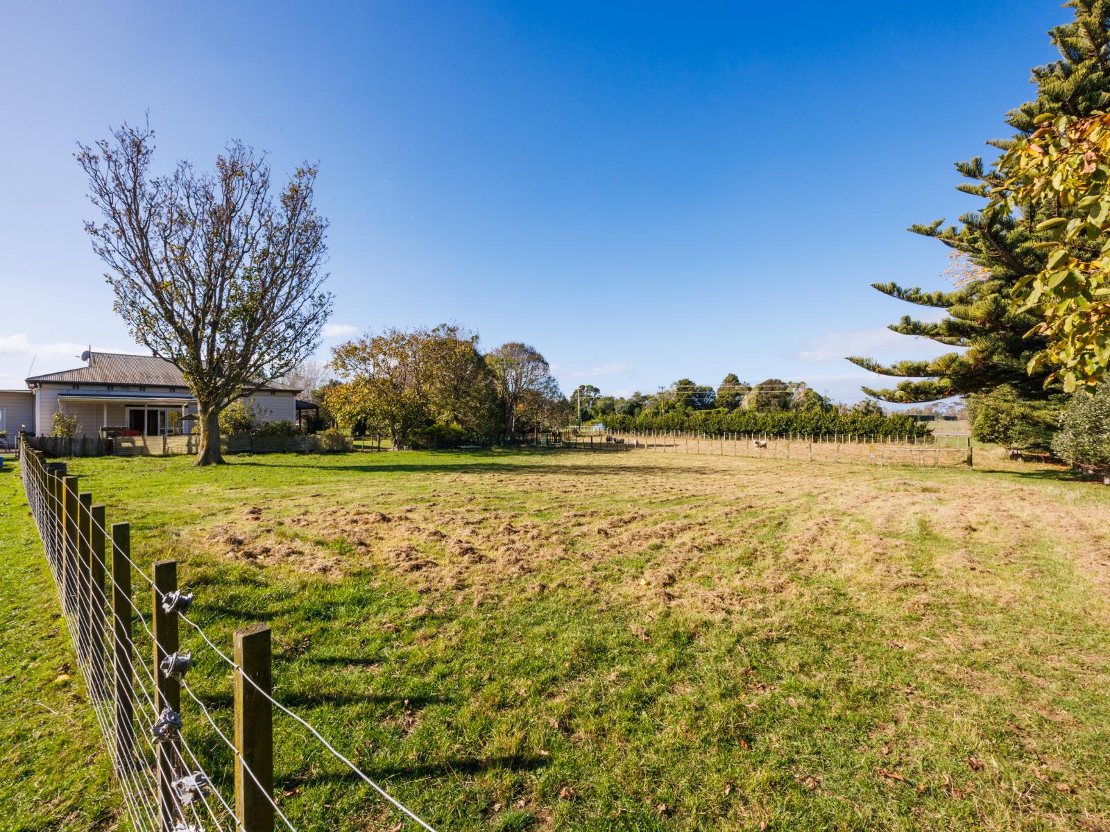 659 Kimbolton Road, Feilding